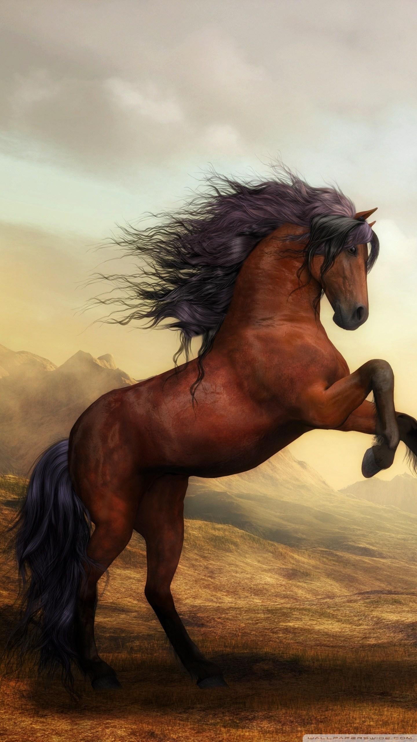 1440x2560 Beautiful Horse Phone Wallpaper Wallpaper HD, Phone