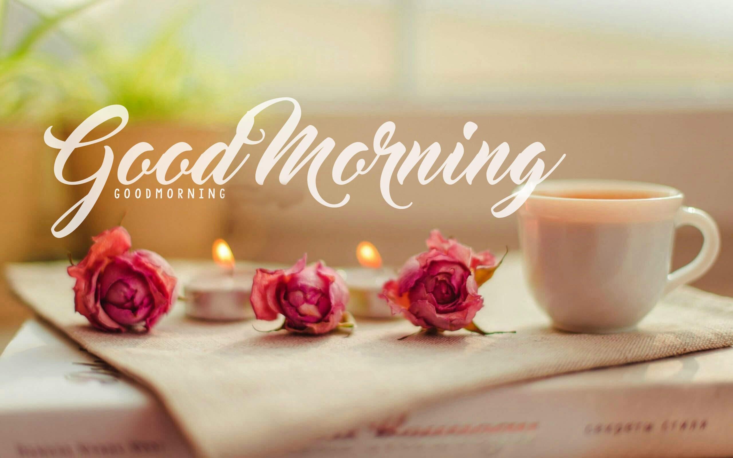 2560x1600 Good Morning HD Wallpaper, Desktop