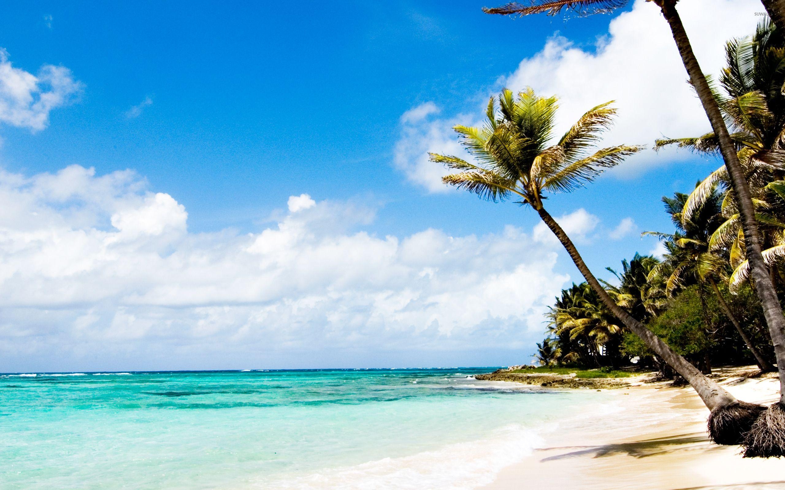 2560x1600 Caribbean wallpaper, Desktop