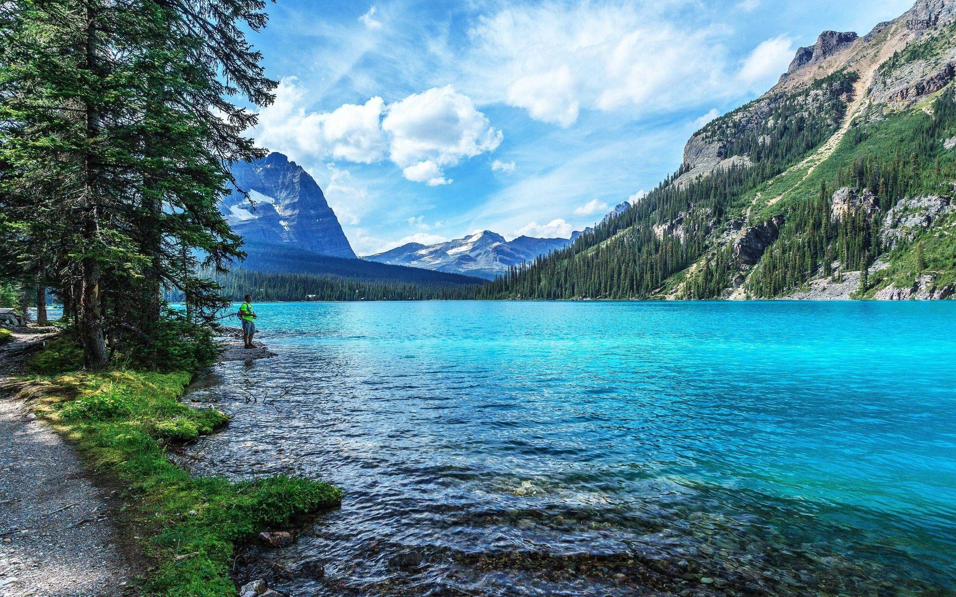 1920x1200 Awesome Yosemite National Park wallpaper. Awesome Yosemite, Desktop