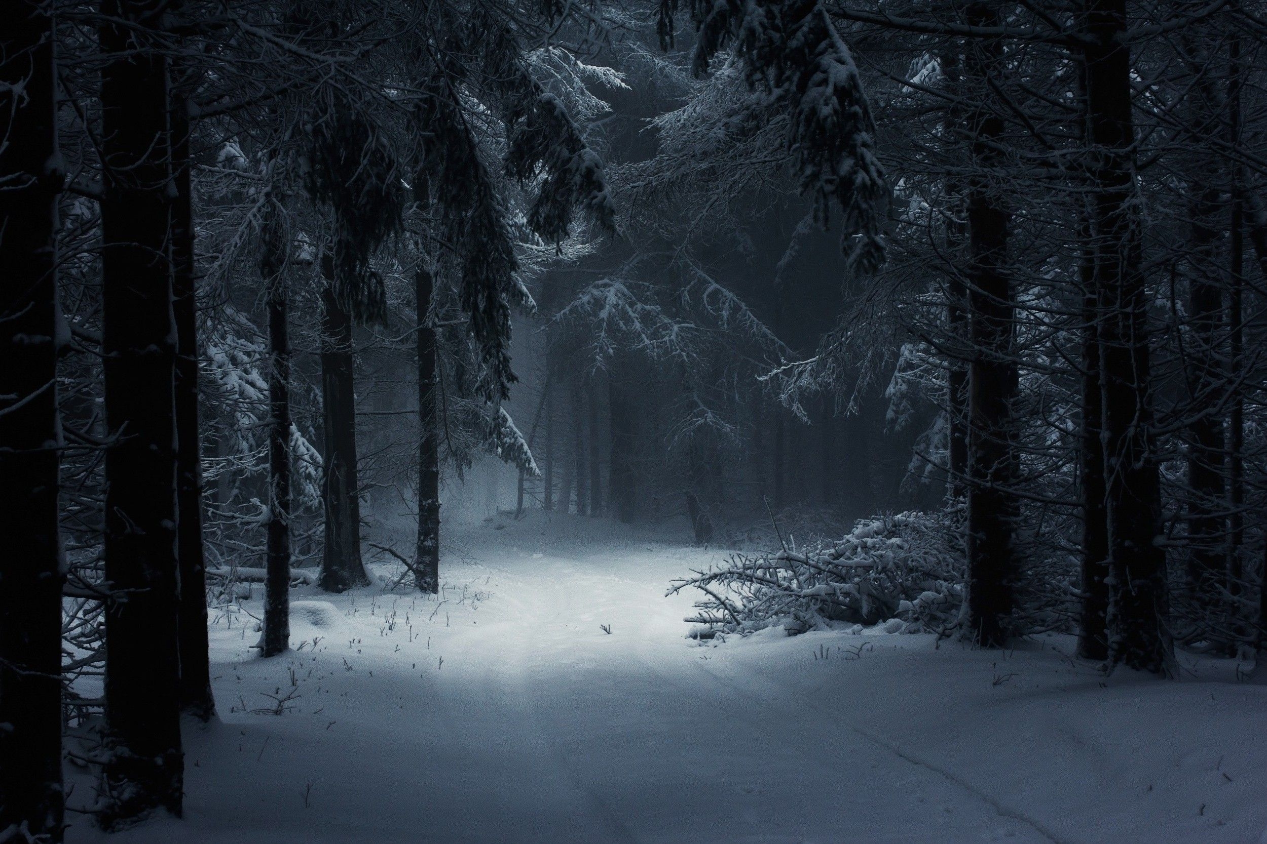 2500x1670 Dark Winter Wallpaper Free Dark Winter Background, Desktop