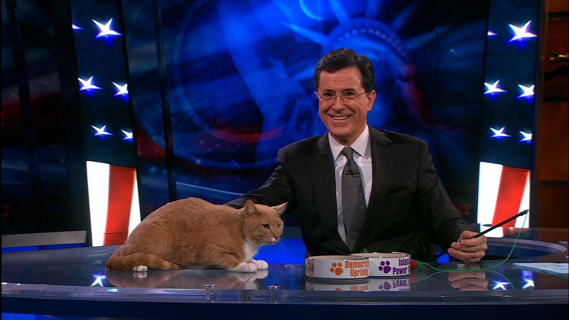 1920x1080 Stephen Colbert Wallpaper 11 X 1080, Desktop