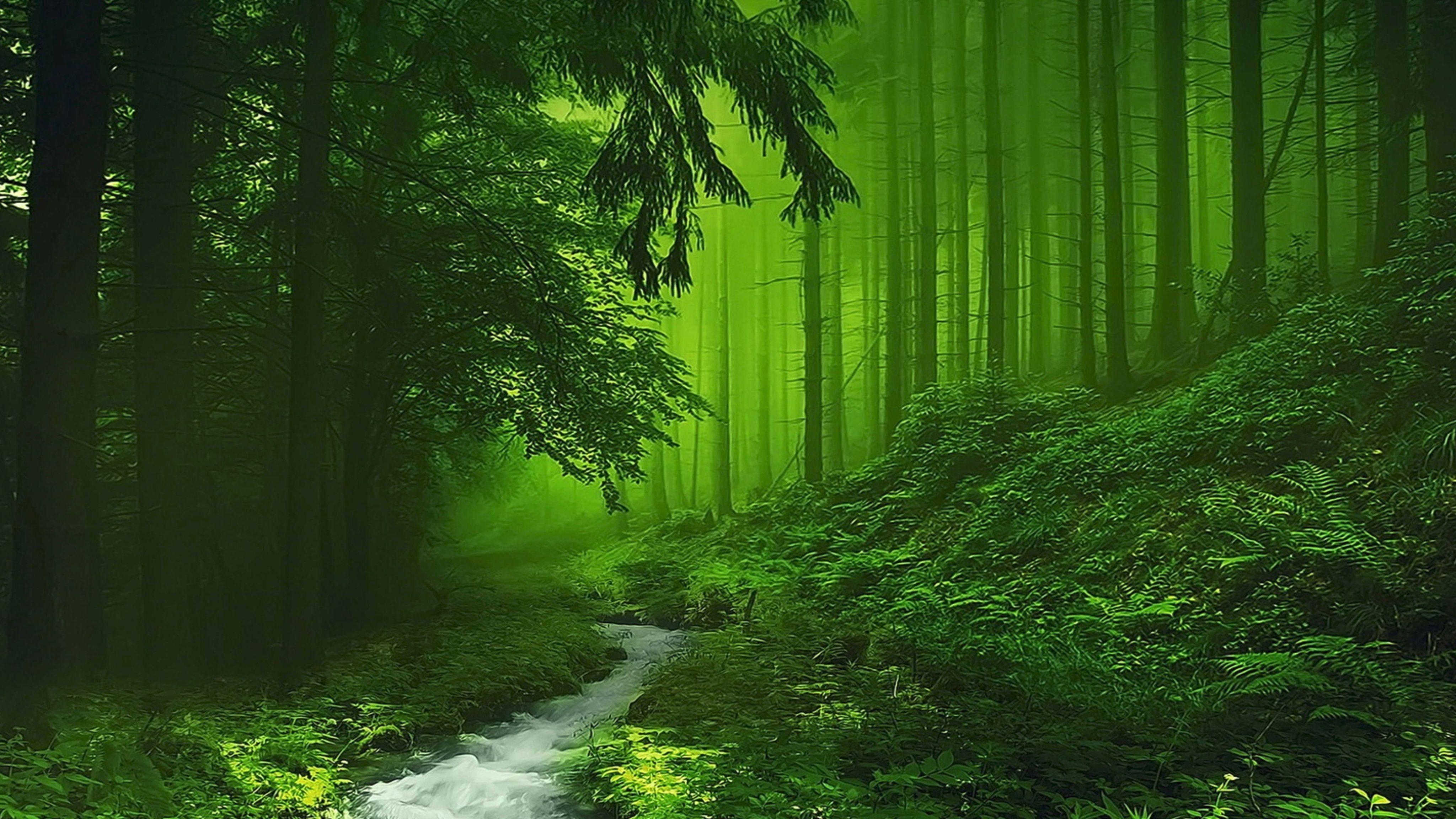 4100x2310 Windows Wallpaper 4K Nature, Desktop