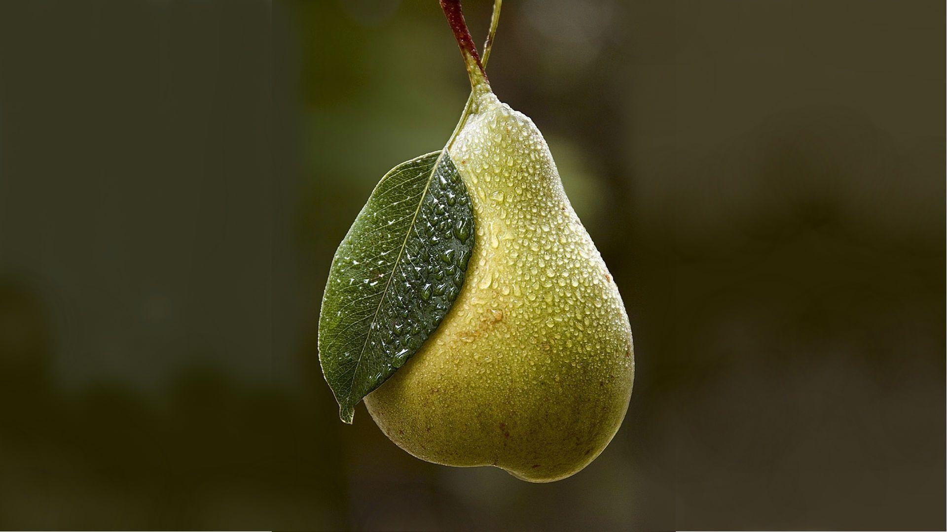 1920x1080 Download wallpaper background, pear, dew free desktop wallpaper, Desktop