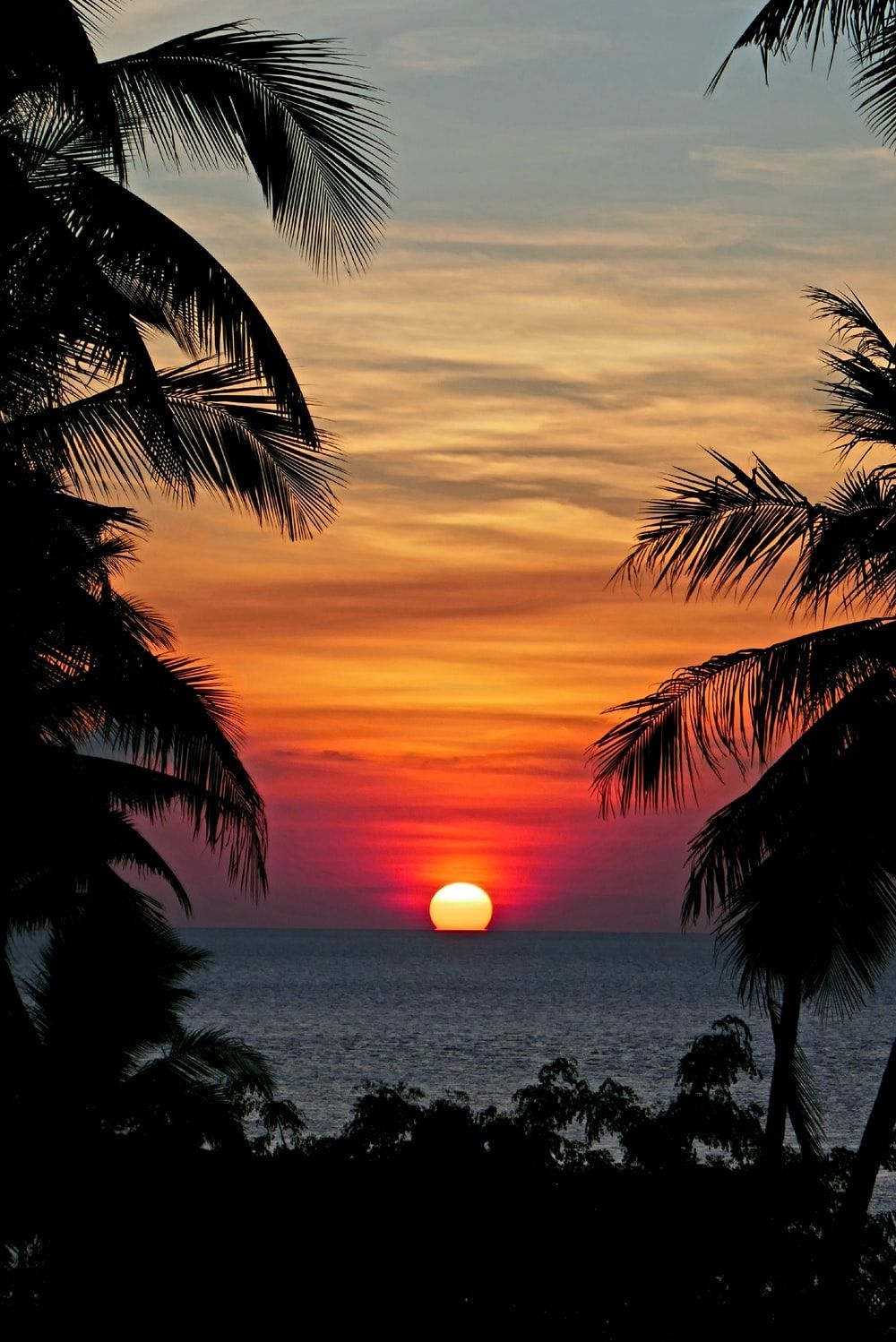 1000x1500 Stunning Tropical Sunset Picture HD.com, Phone