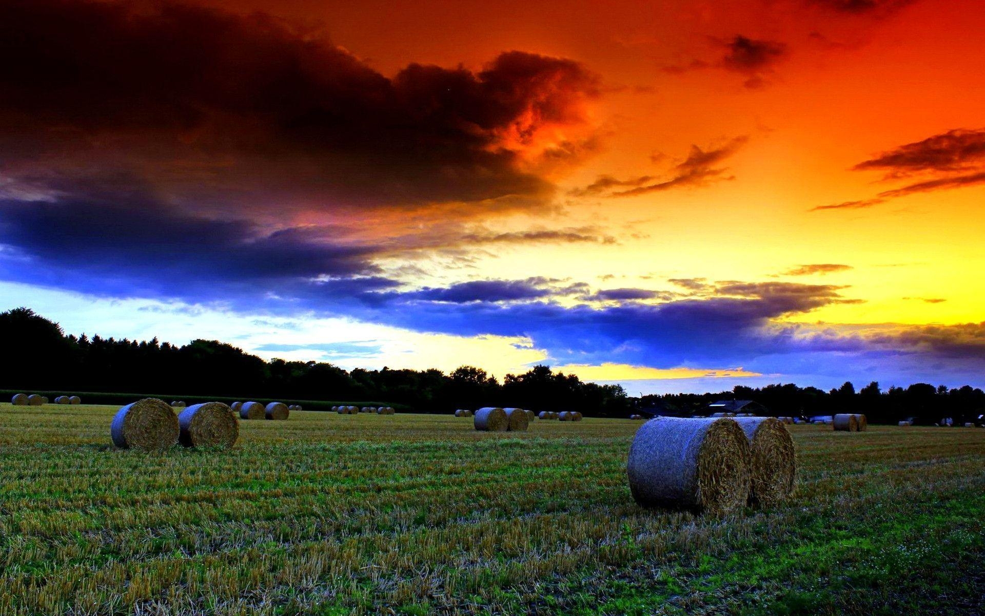 1920x1200 Summer Sunset Wallpaper 67 170760 Image HD Wallpaper. Wallfoy.com, Desktop