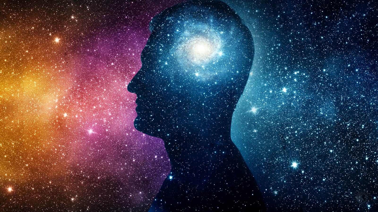 1600x900 Study Finds Striking Similarities Between The Brain And The Cosmos, Desktop