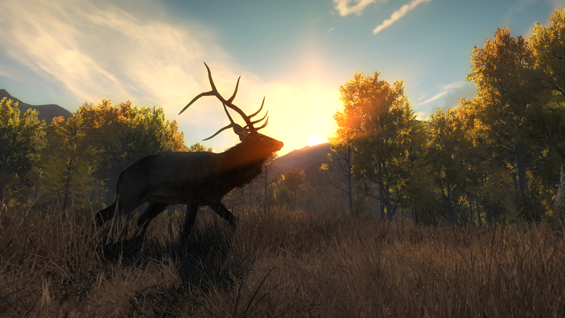 1920x1080  thehunter call wild HD wallpaper for desktop, Desktop