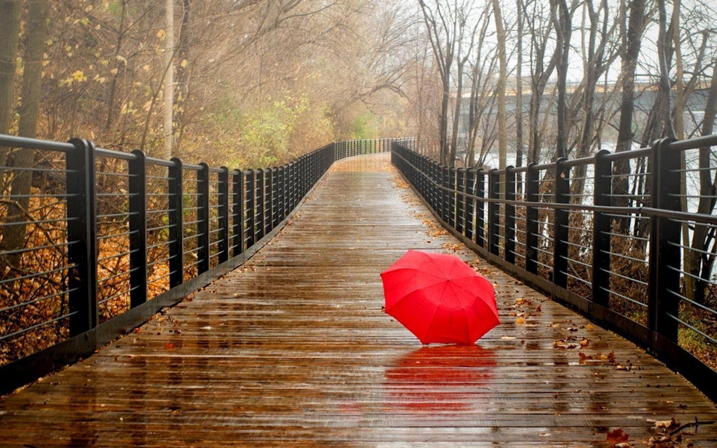 1440x900 Download Rainy Wallpaper 17249  px High Resolution, Desktop