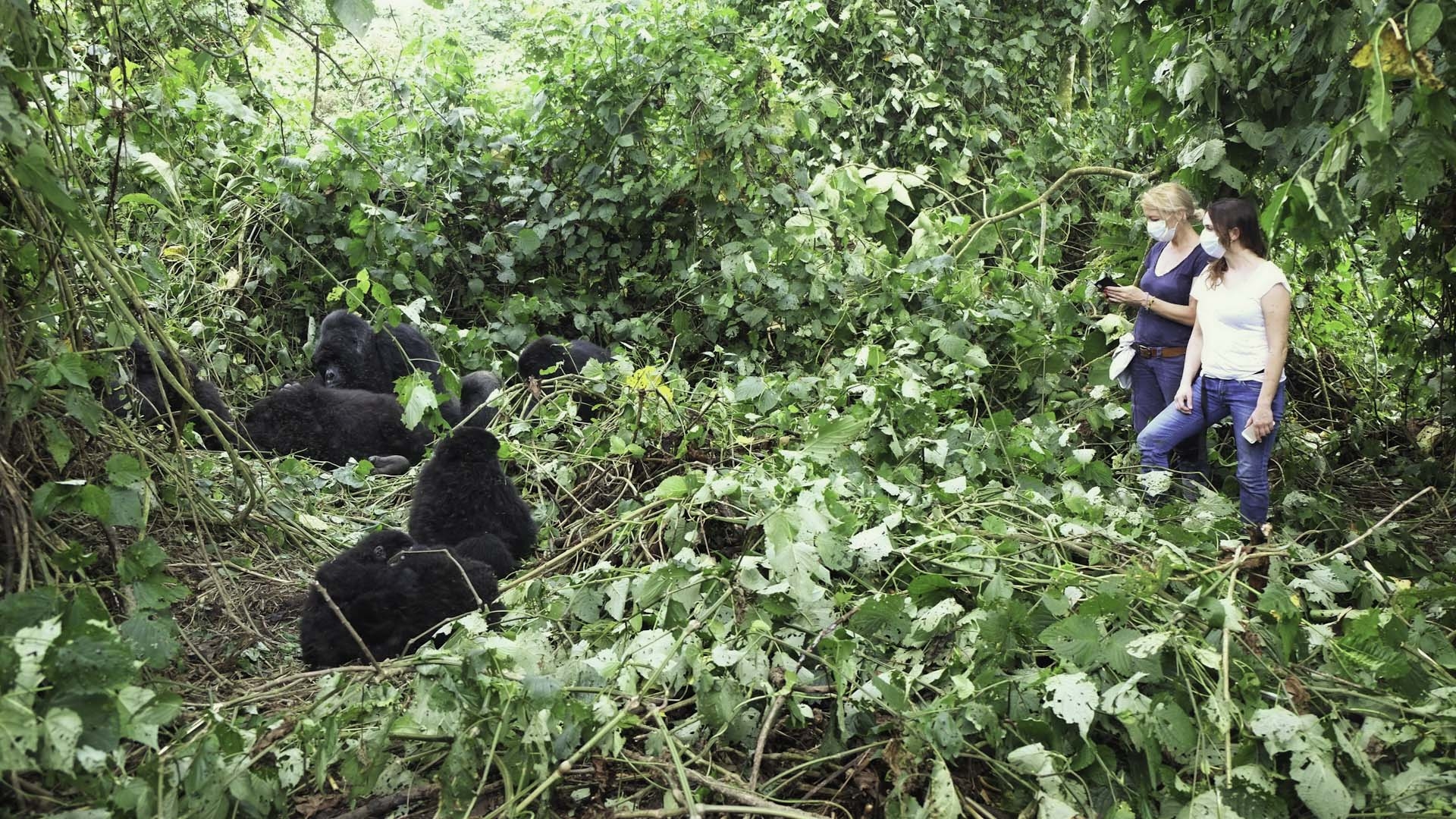 1920x1080 Democratic Republic of Congo Holidays World Safaris, Desktop