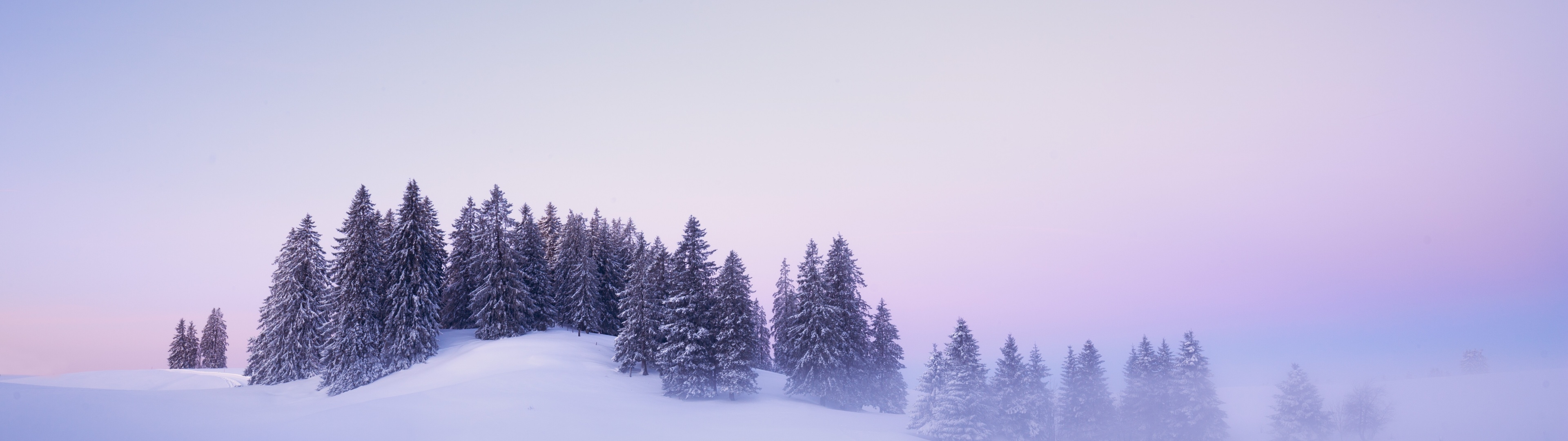 3840x1080 Winter Wallpaper 4K, Snow covered, Foggy, Trees, Dual Screen