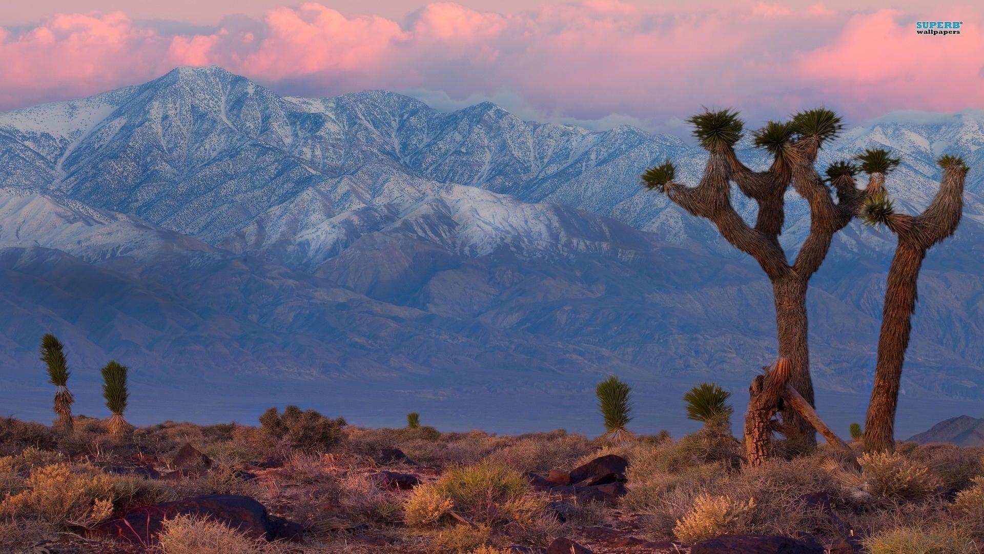 1920x1080 Wallpaper California Desert, Desktop