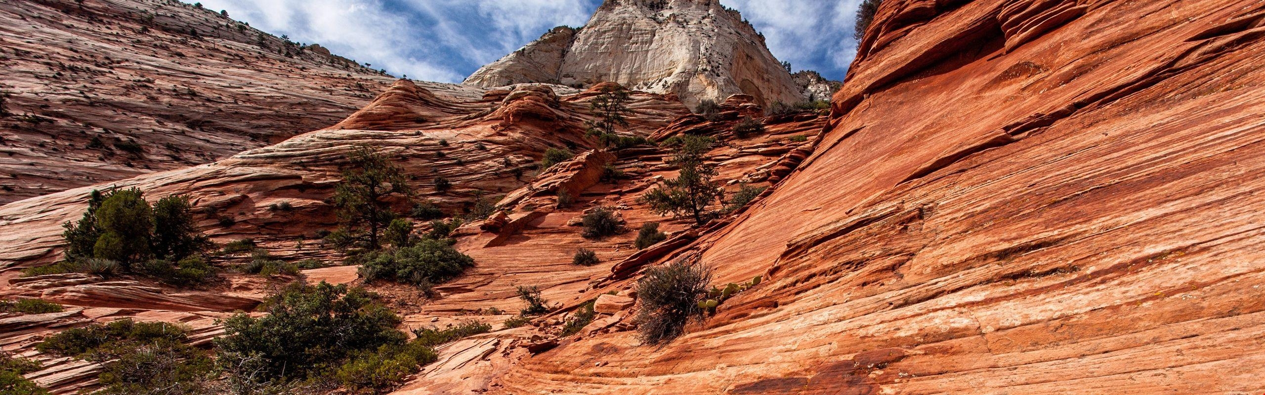 2560x800 5k Zion National Park, Utah Background. HD, Dual Screen