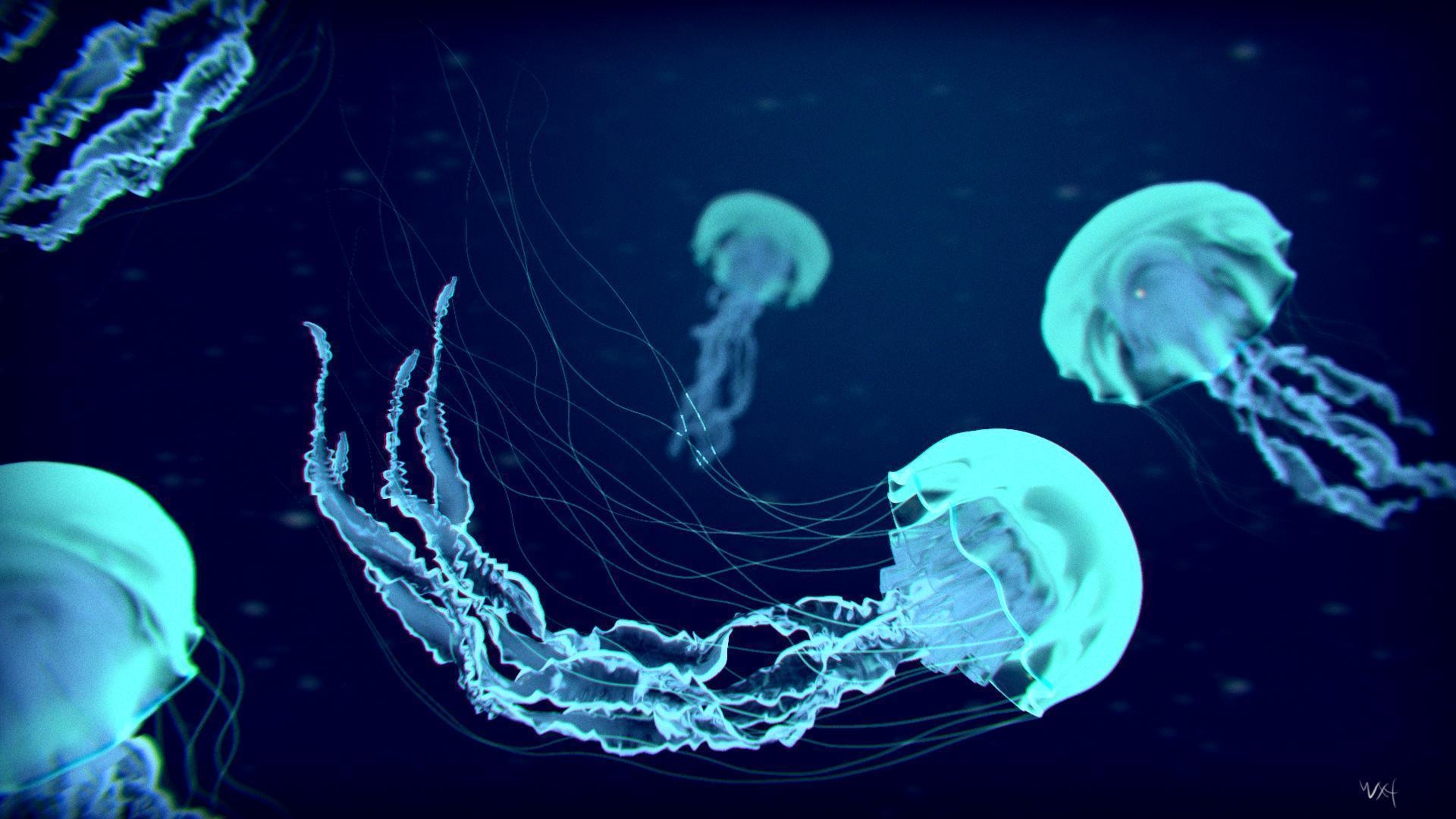 1920x1080 Jellyfish Wallpaper. Princess, Desktop