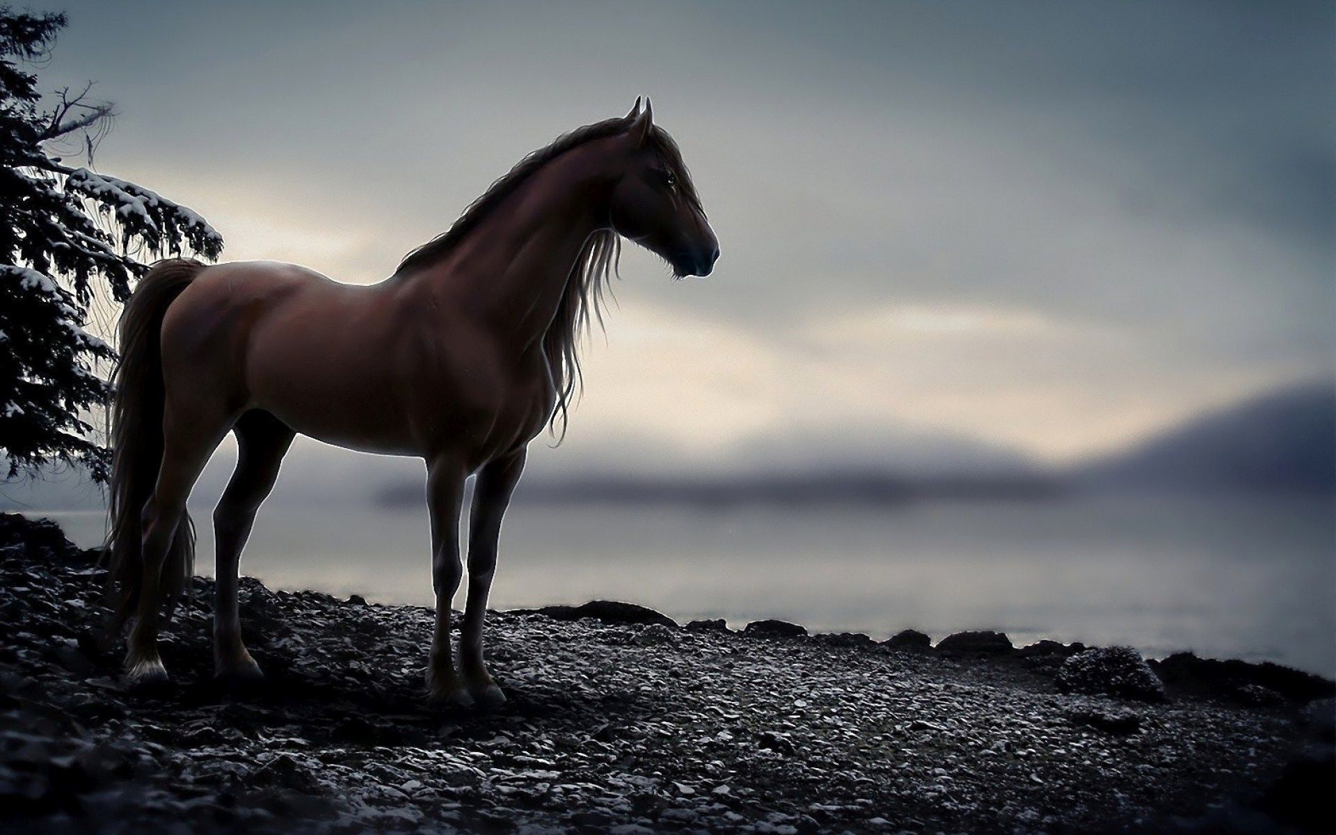 1920x1200 Cool Horse Wallpaper Free Cool Horse Background, Desktop