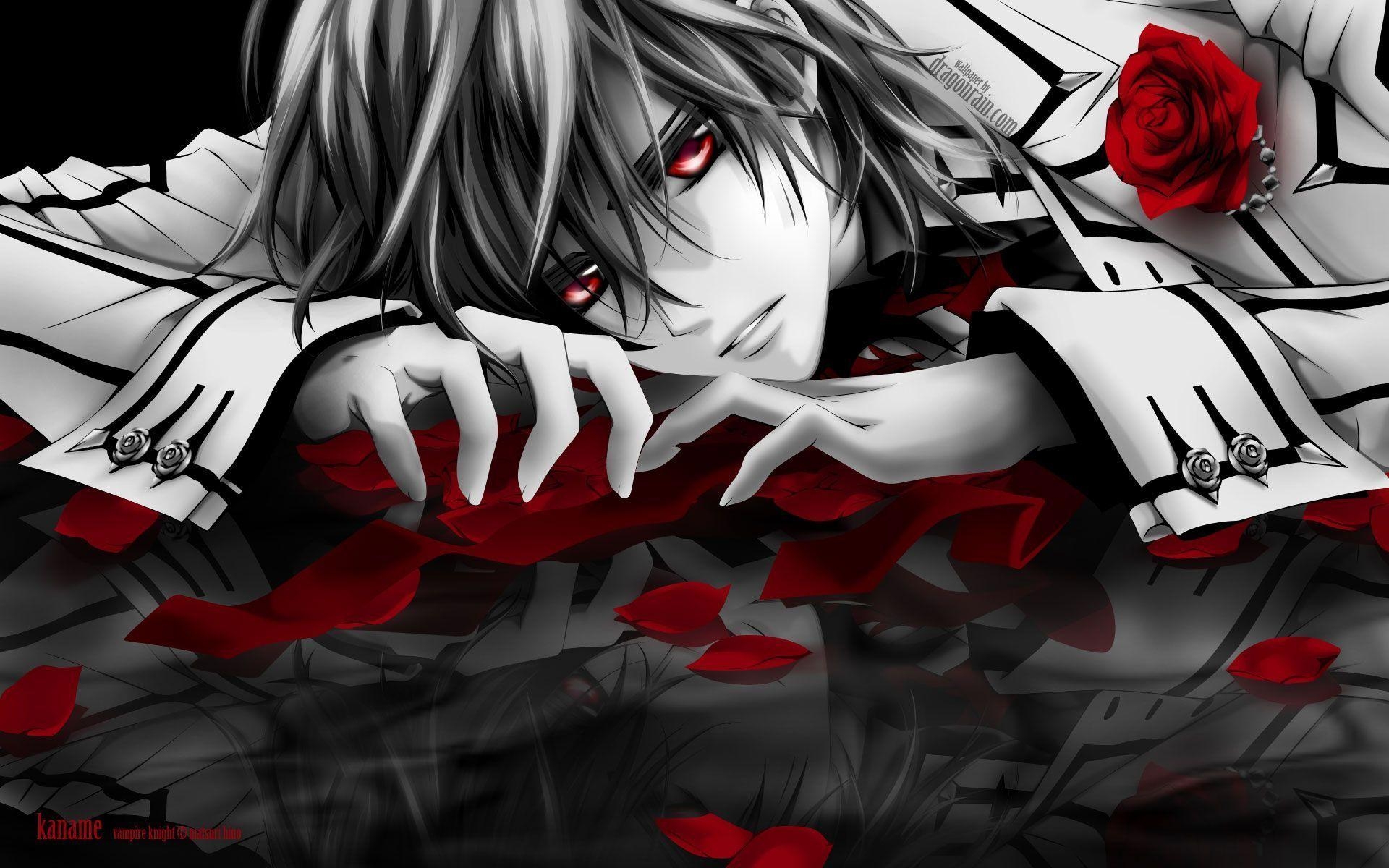 1920x1200 Vampire Knight HD wallpaper download, Desktop