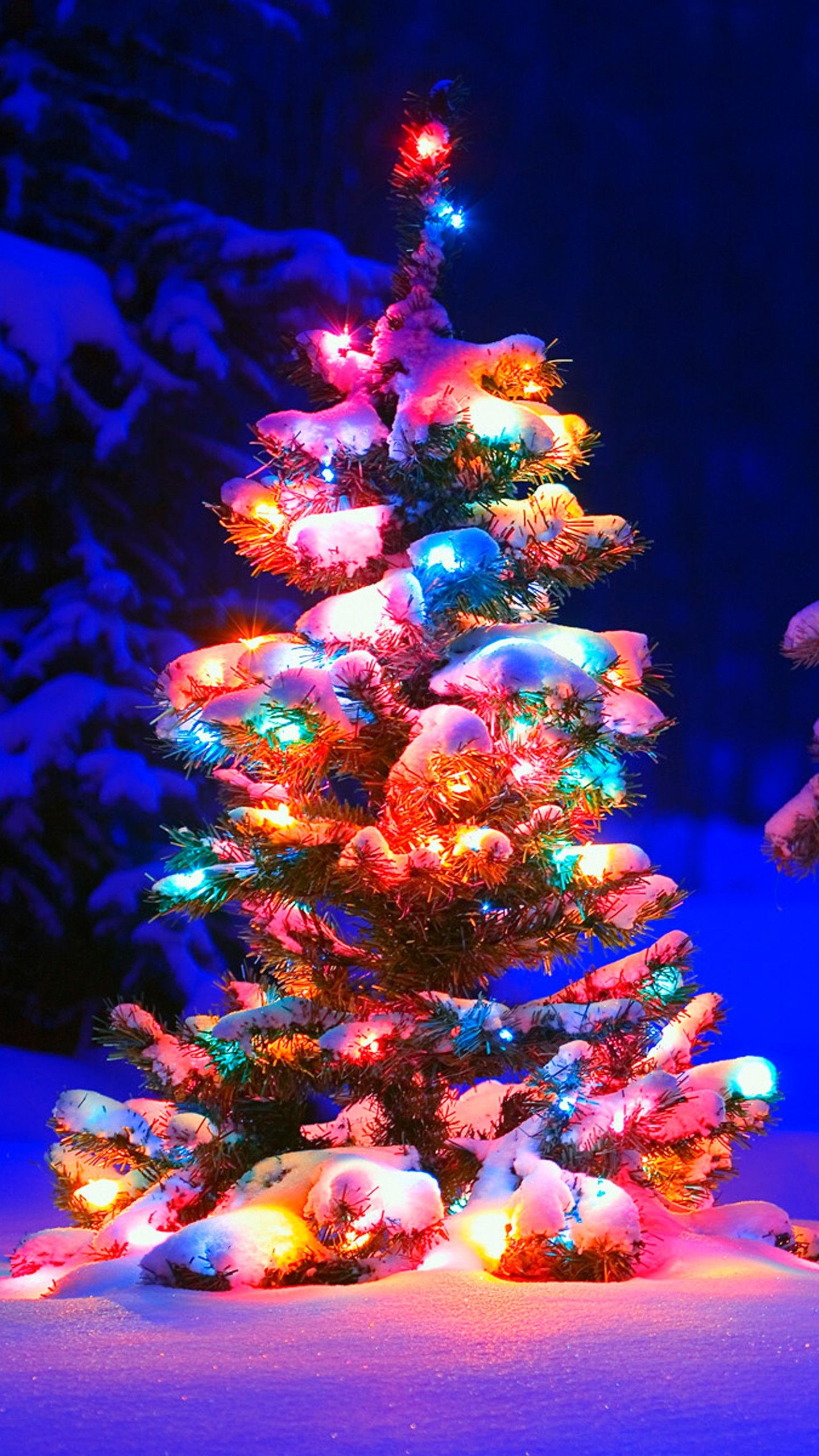 1440x2560 Christmas Tree Phone Wallpaper, HD Christmas Tree Phone Background on WallpaperBat, Phone