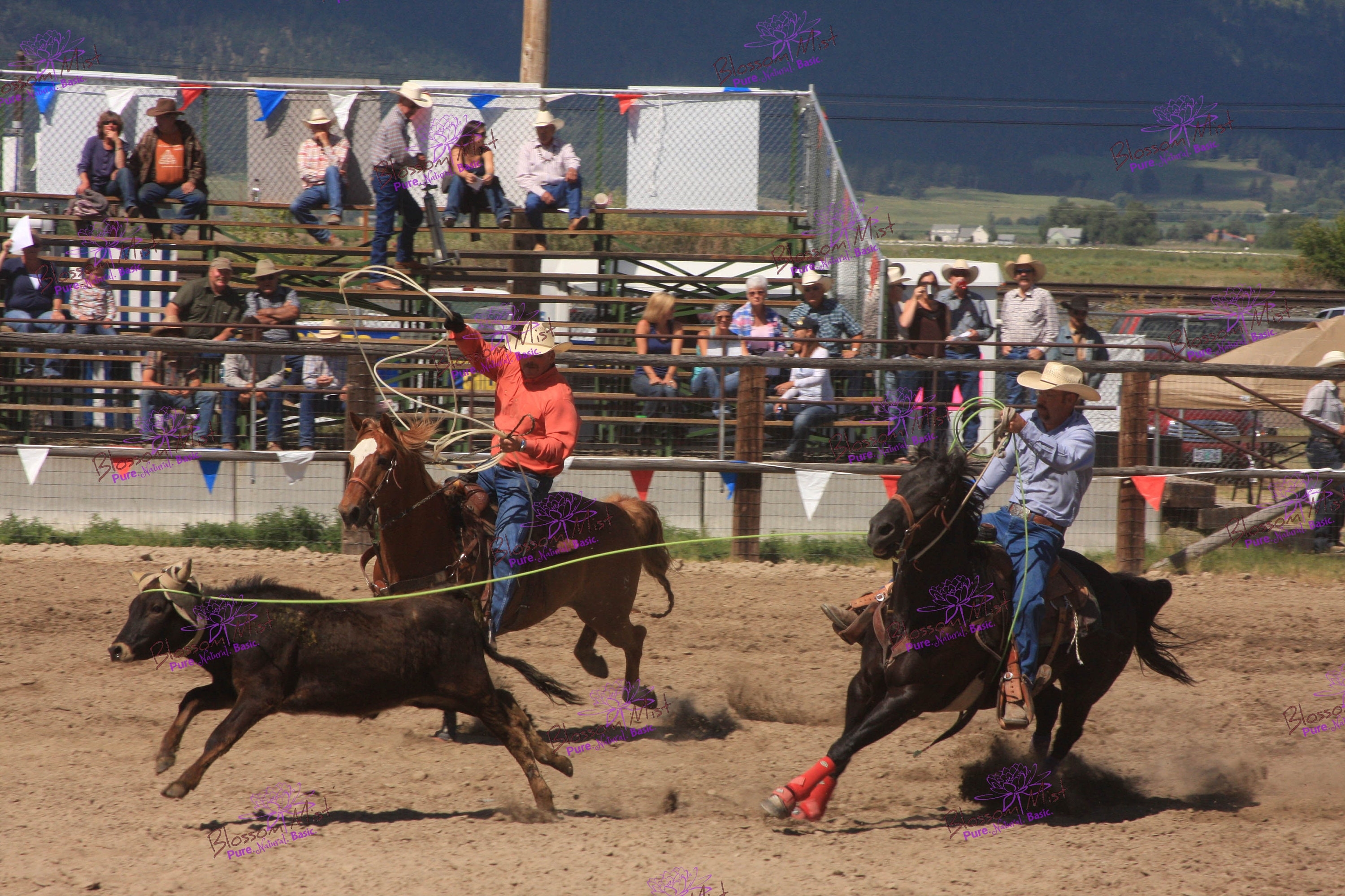 3000x2000 Header / Healer Team Roping photo Digital Download Wall, Desktop