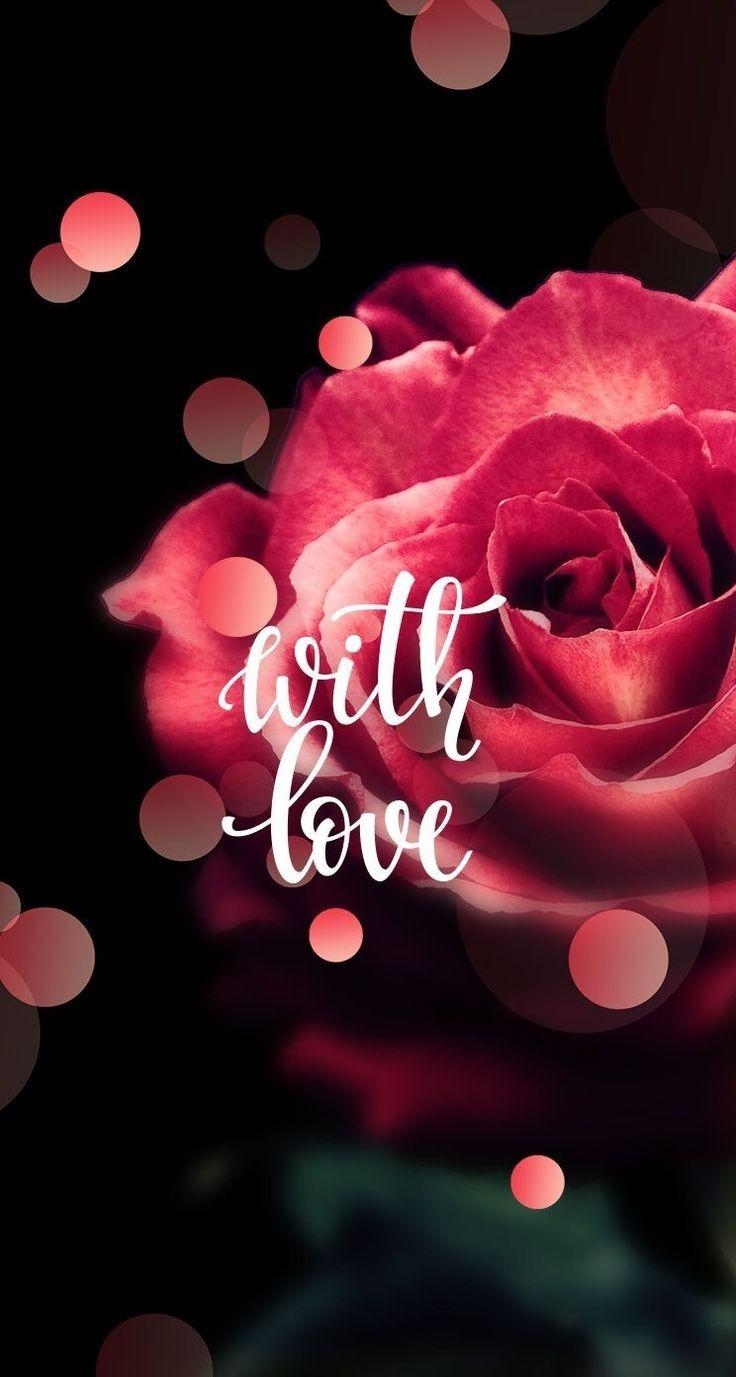 740x1380 Means Love Roses Quote Red Phone Wallpaper Inspirational 87 Good, Phone