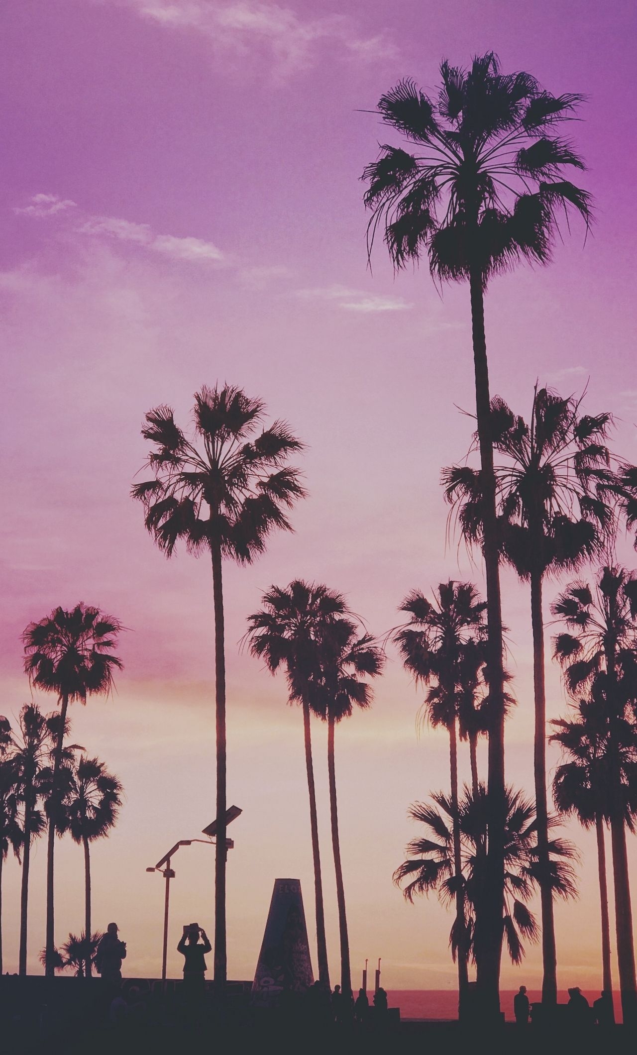 1280x2120 Download  wallpaper tropical, palm trees, miami sunset, iphone 6 plus,  HD image, background, 19176, Phone