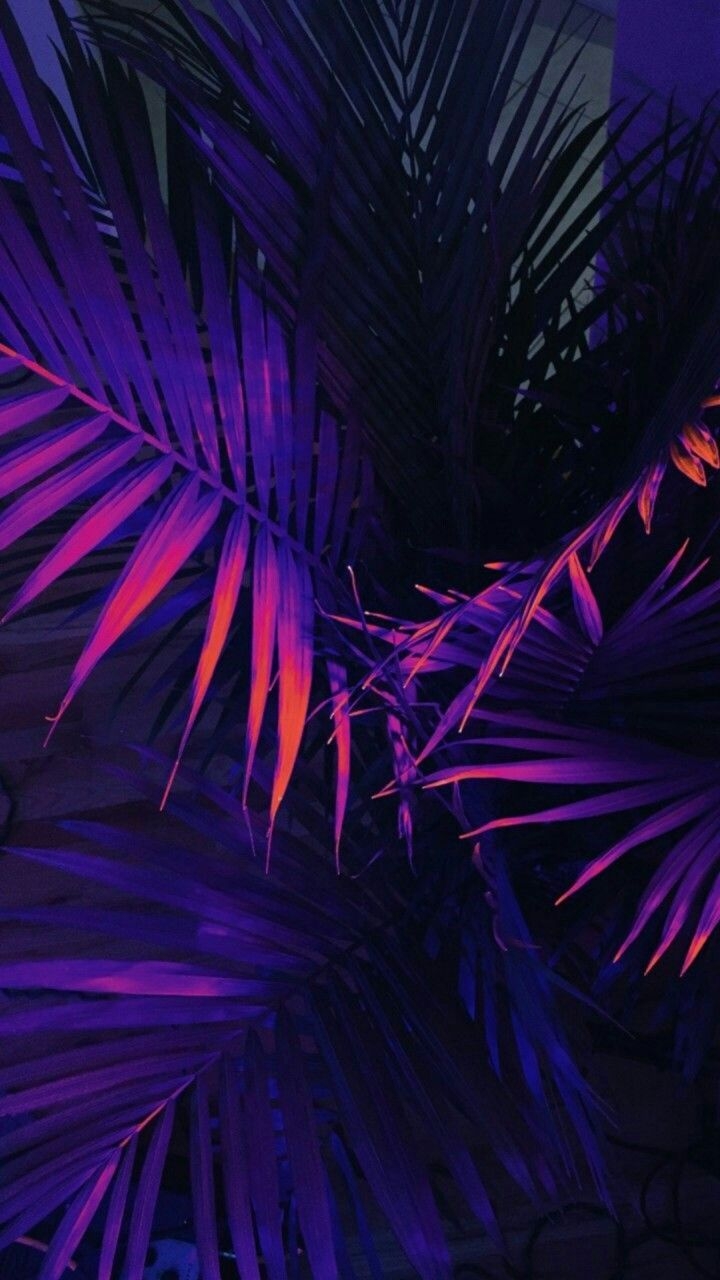 720x1280 Purple Aesthetic Phone Wallpaper, Phone