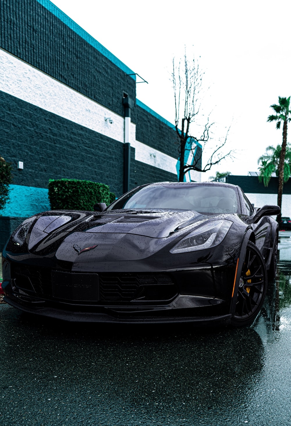 1000x1460 Chevrolet Corvette Picture. Download Free Image, Phone