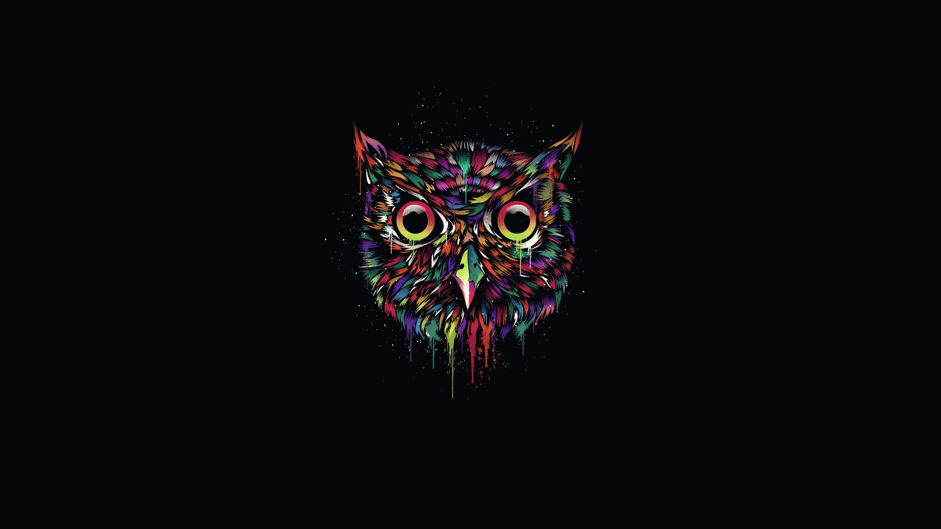 1920x1080 Ovo Owl, Desktop