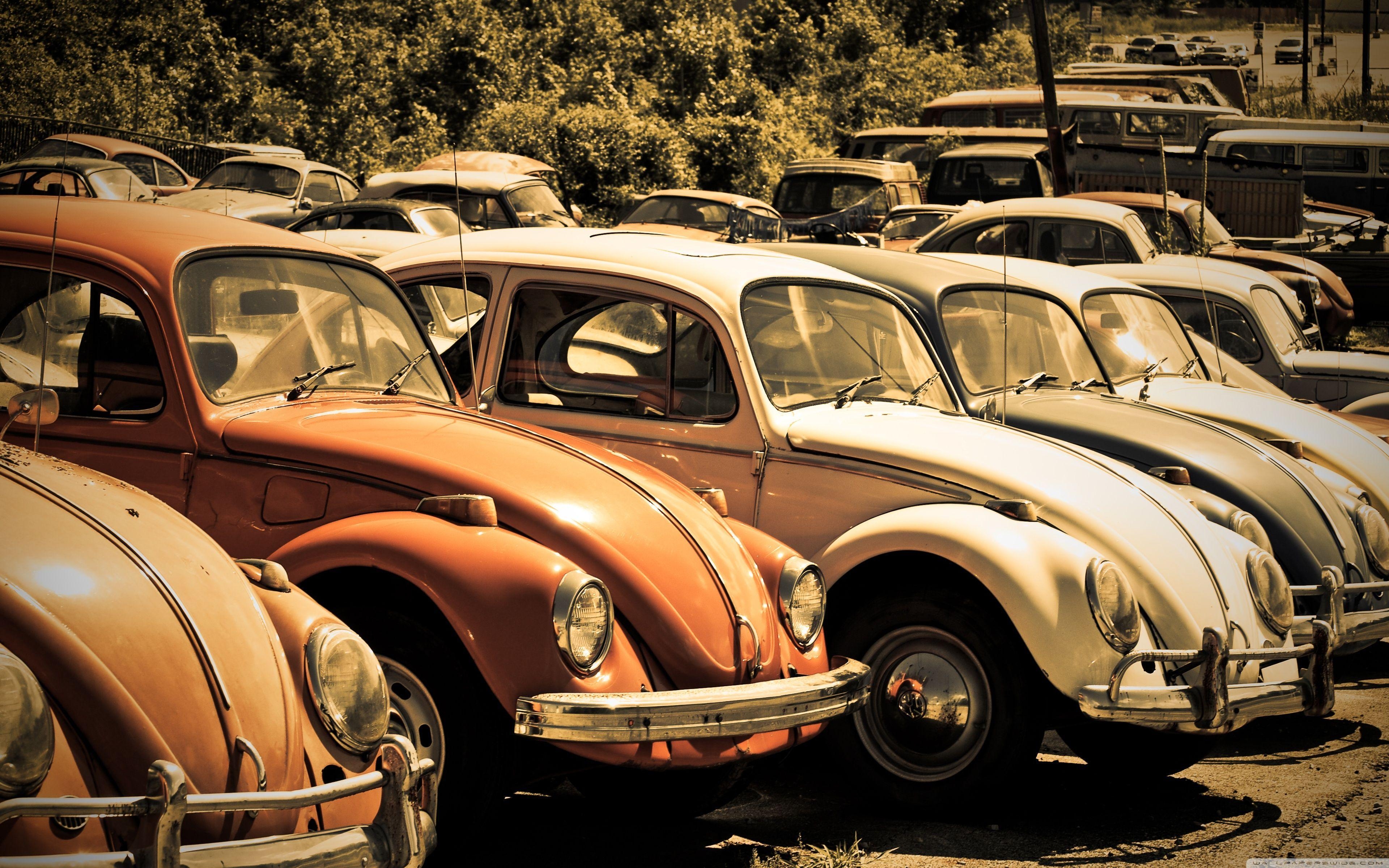 3840x2400 Old Volkswagen Beetle Junkyard HD desktop wallpaper, High, Desktop