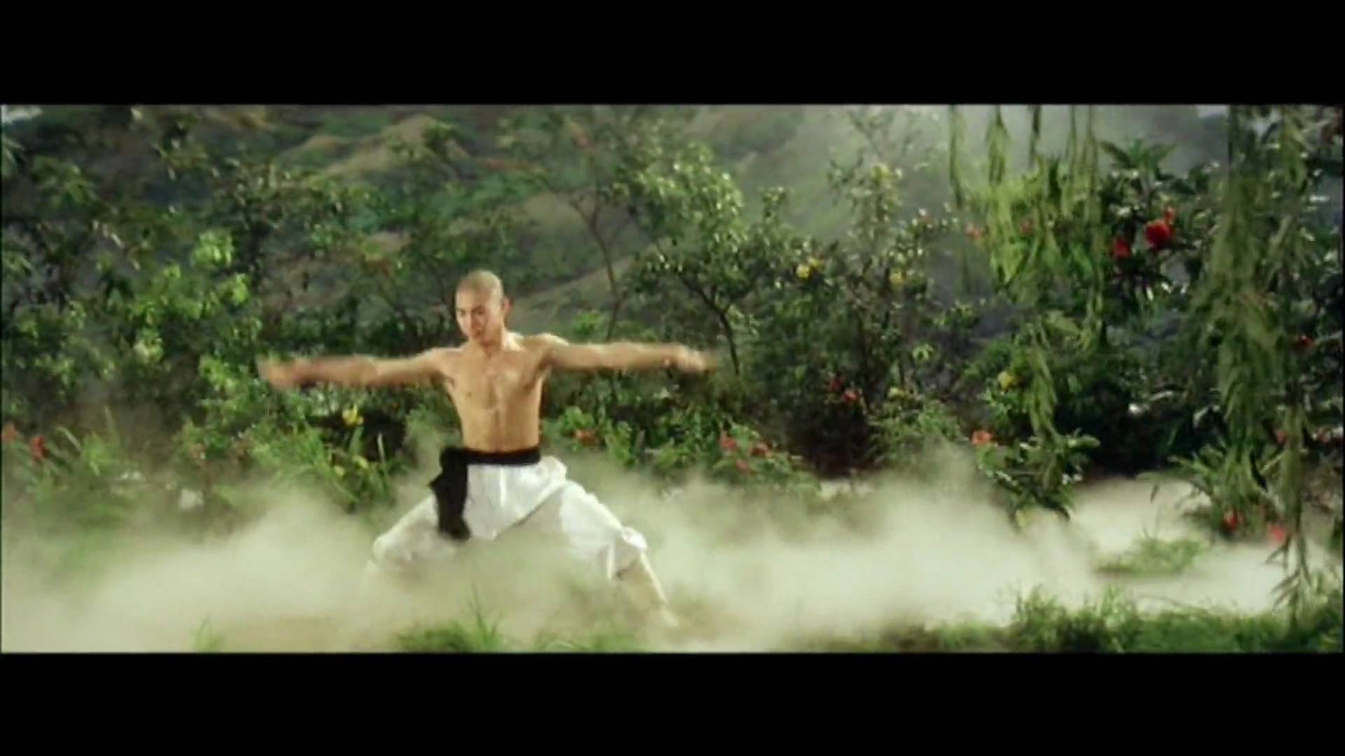 1920x1080 Jet Lee Shaolin Temple Original, Desktop