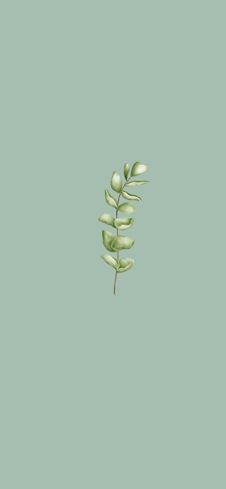 770x1670 Sage Green Aesthetic Wallpaper, Sage Green Draw Wallpaper, Phone