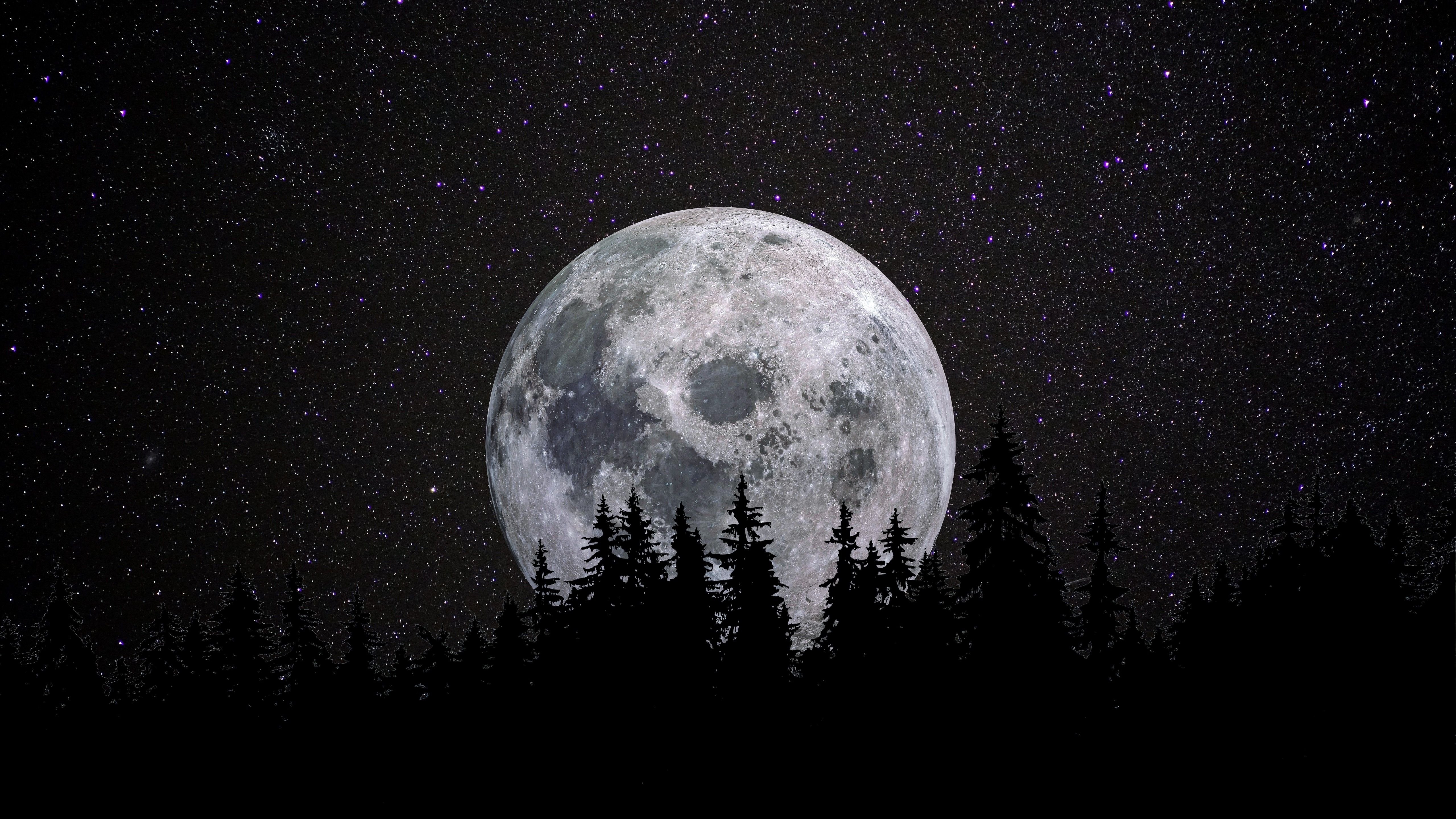 5120x2880 Full moon 4K Wallpaper, Forest, Night, Dark, Starry sky, 5K, 8K, Nature, Desktop