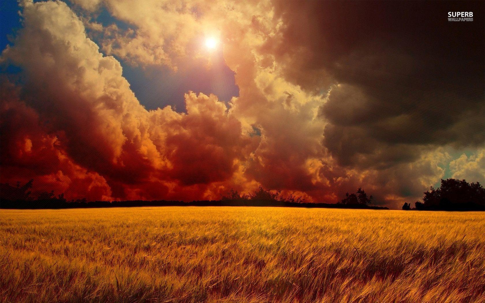 1680x1050 Storm clouds over wheat field wallpaper wallpaper, Desktop