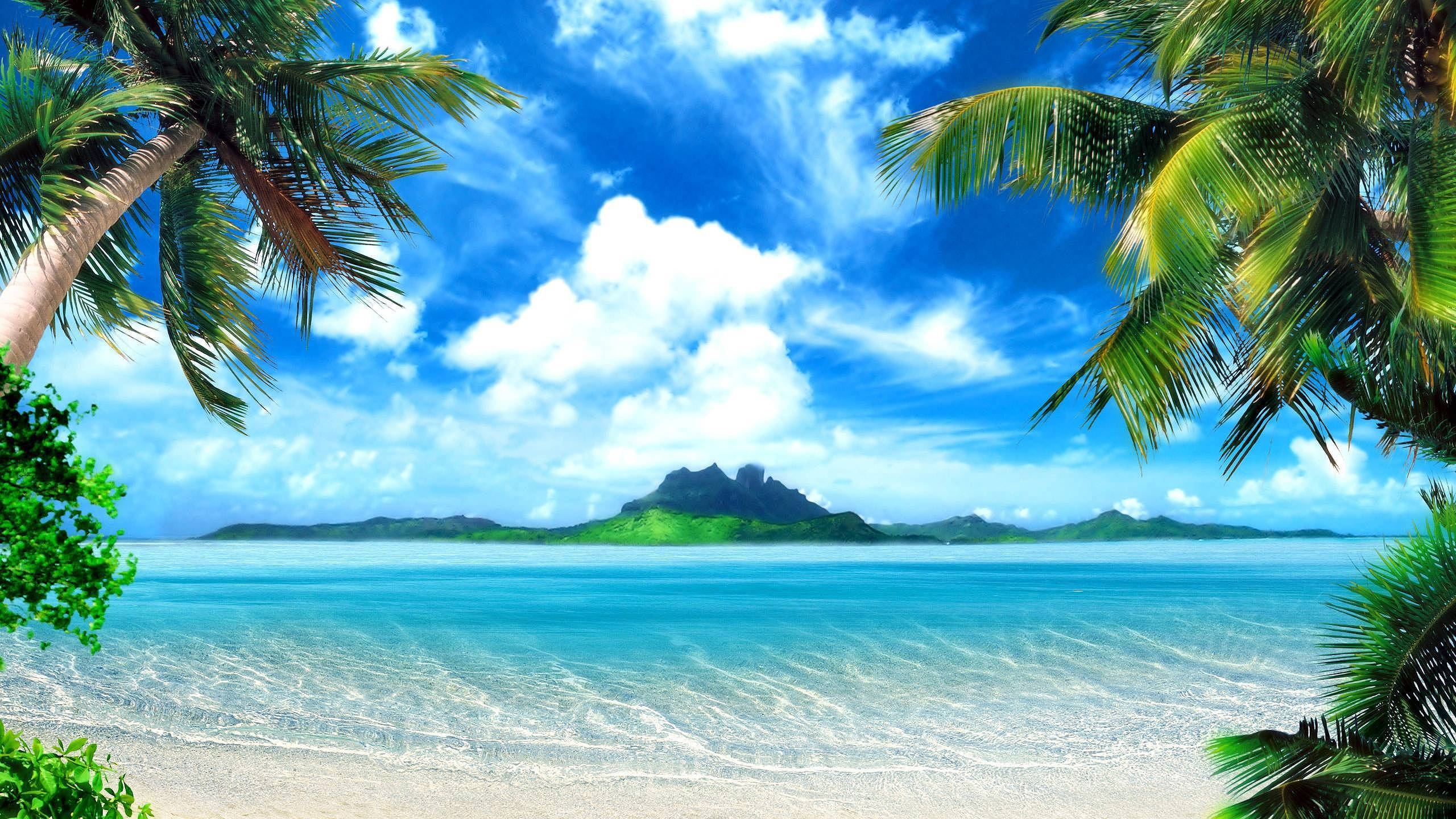 2560x1440 Tropical Beach Background Wallpaper, Desktop