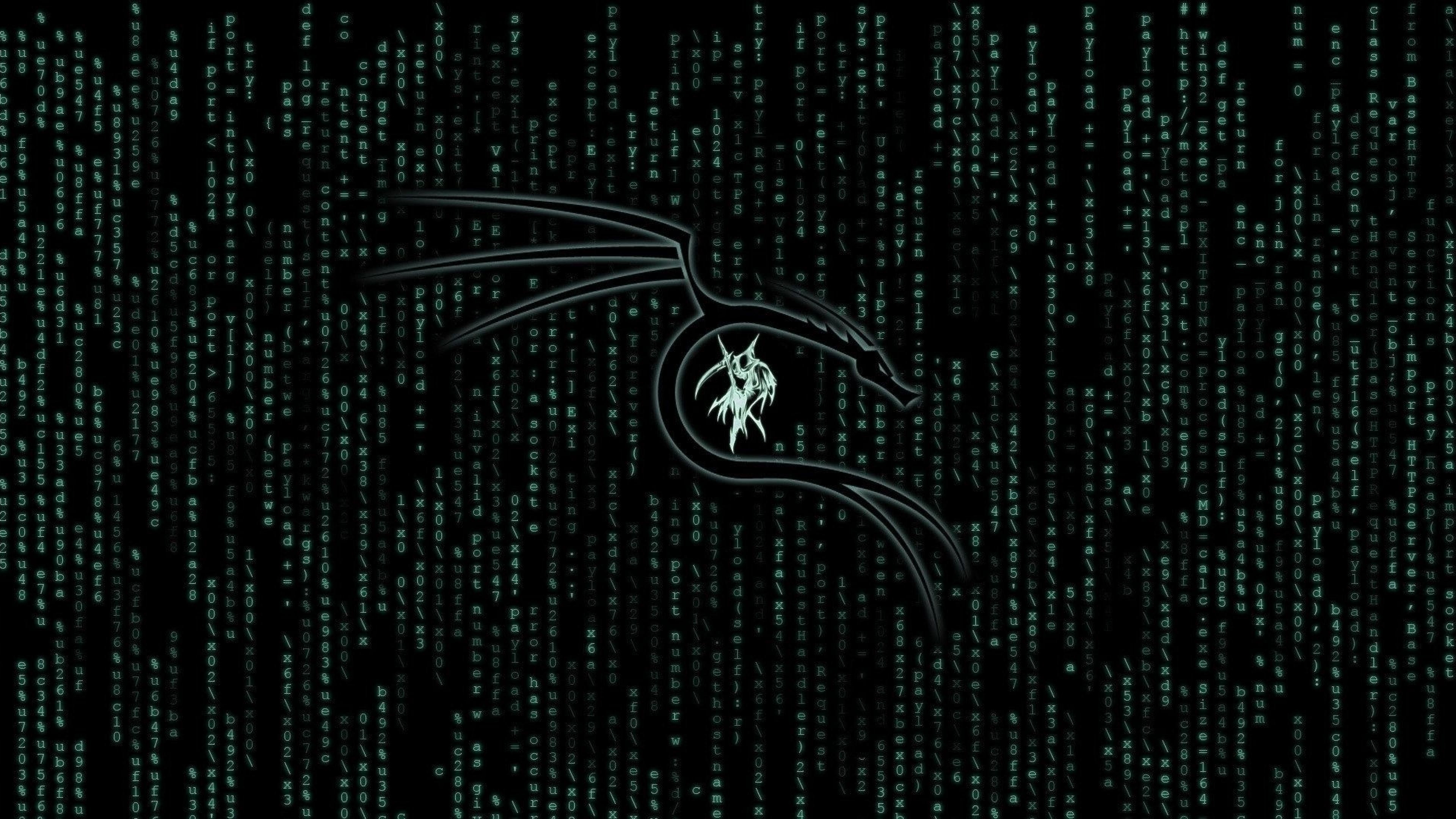 3840x2160 Kali Linux Matrix 4K Wallpaper, HD Hi Tech 4K, Desktop