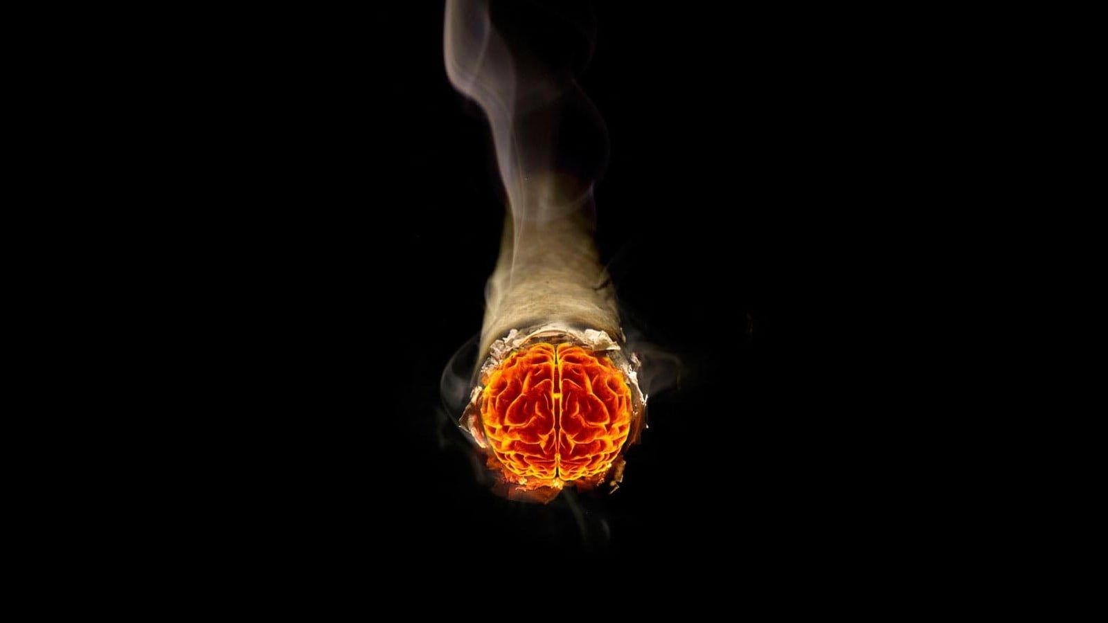 1600x900 Red human brain illustration, cigarettes, brain HD wallpaper, Desktop