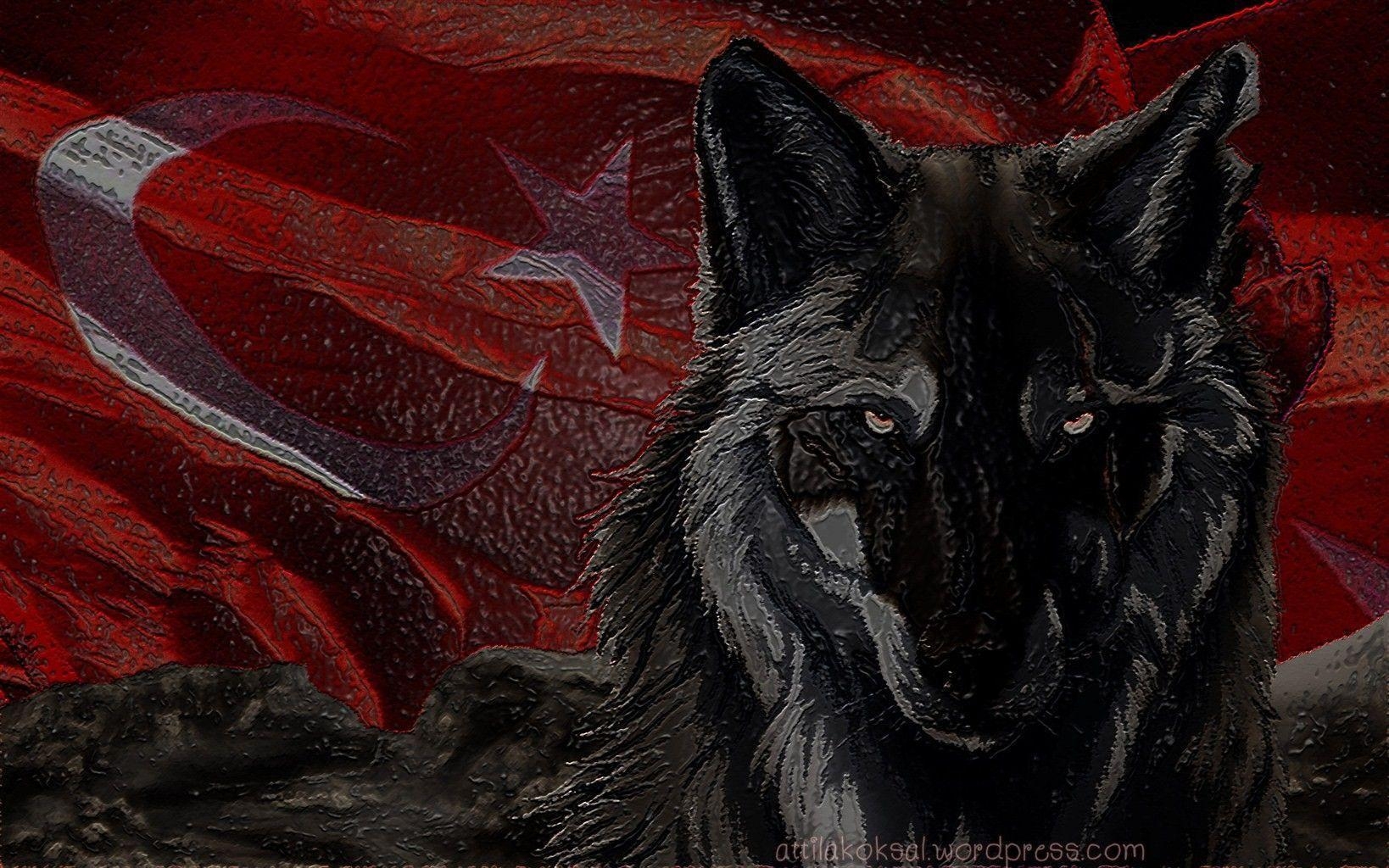 1640x1030 wolf, #Bozkurt, #Turkish, #Turkey, #flag. Wallpaper No. 147347, Desktop