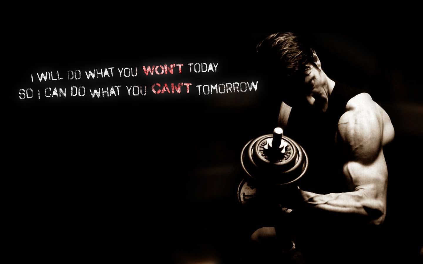 1440x900 Fitness Wallpaper Do What You Won T Today So I Can Do What You Can, Desktop