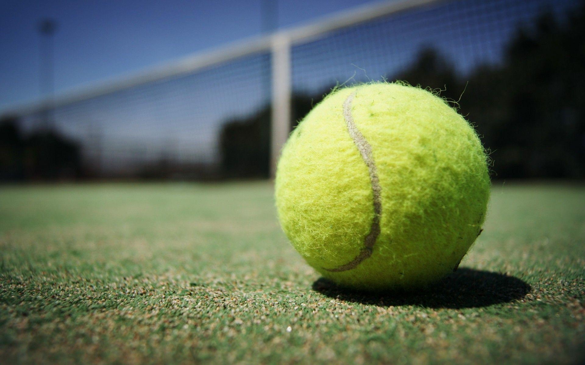 1920x1200 Tennis Ball Desktop Wallpaper 48957  px, Desktop