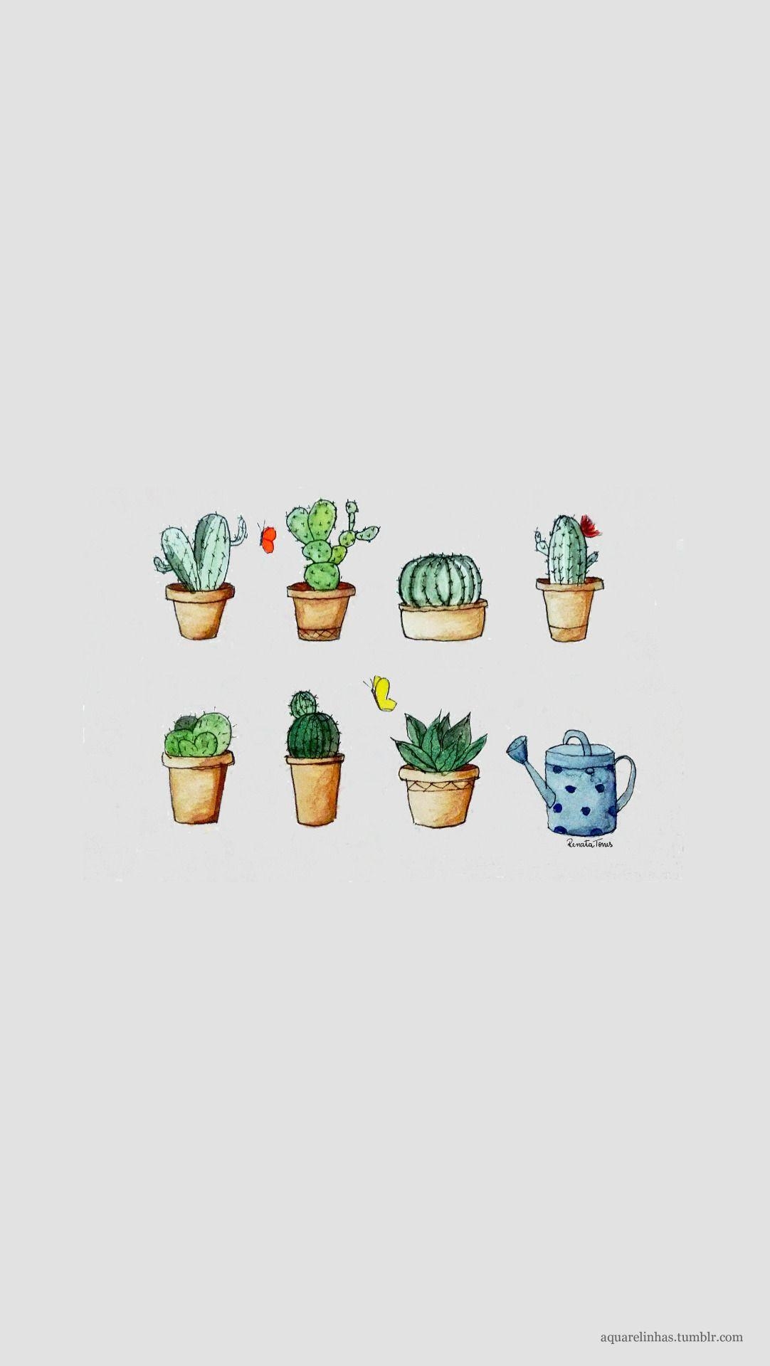 1090x1920 coisinhas. Wallpaper, Cactus, Phone