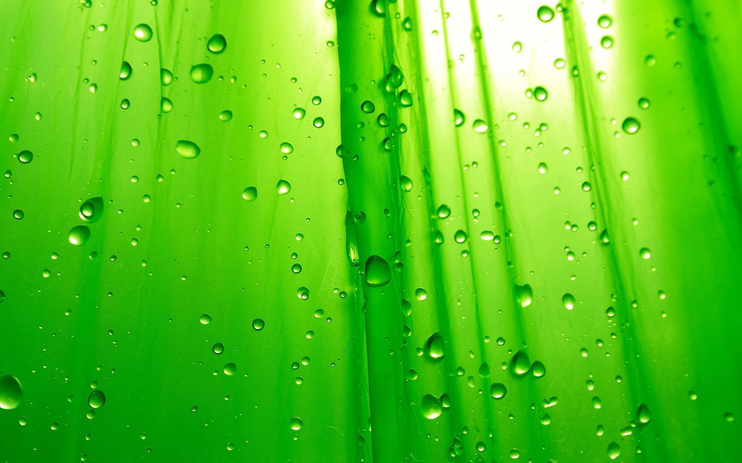 2560x1600 Green Water Drops HD Background Wallpaper. Lime green wallpaper, Desktop