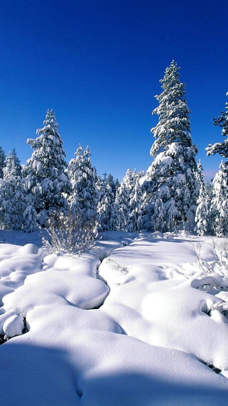 770x1370 Winter Wallpaper for iPhone Download Free. Winter wallpaper, Phone