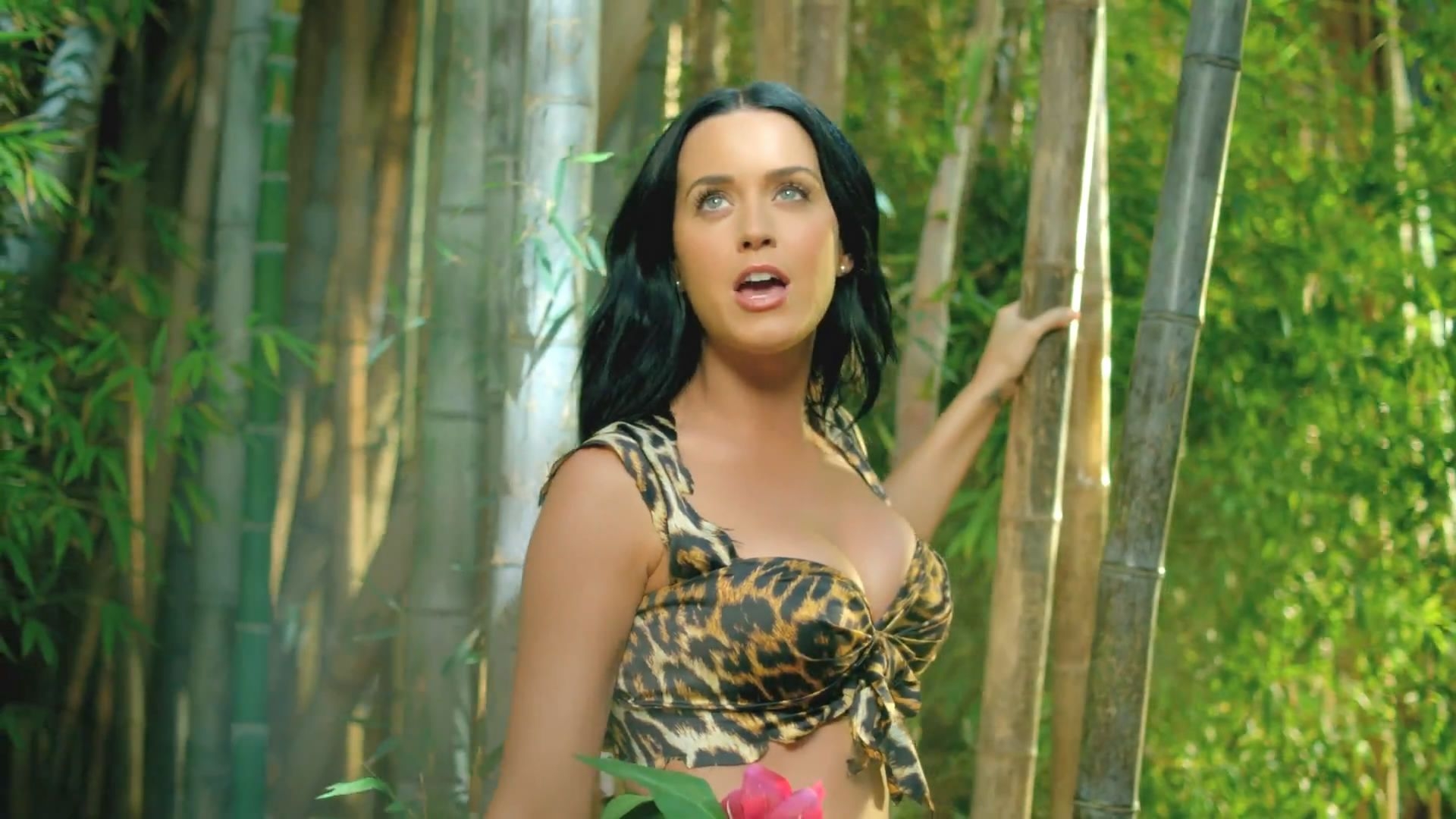 1920x1080 Katy Perry Dans Roar :bave: :baiser: Sur Le Forum Blabla 18 25 Ans 04 2014 01:02:42, Desktop