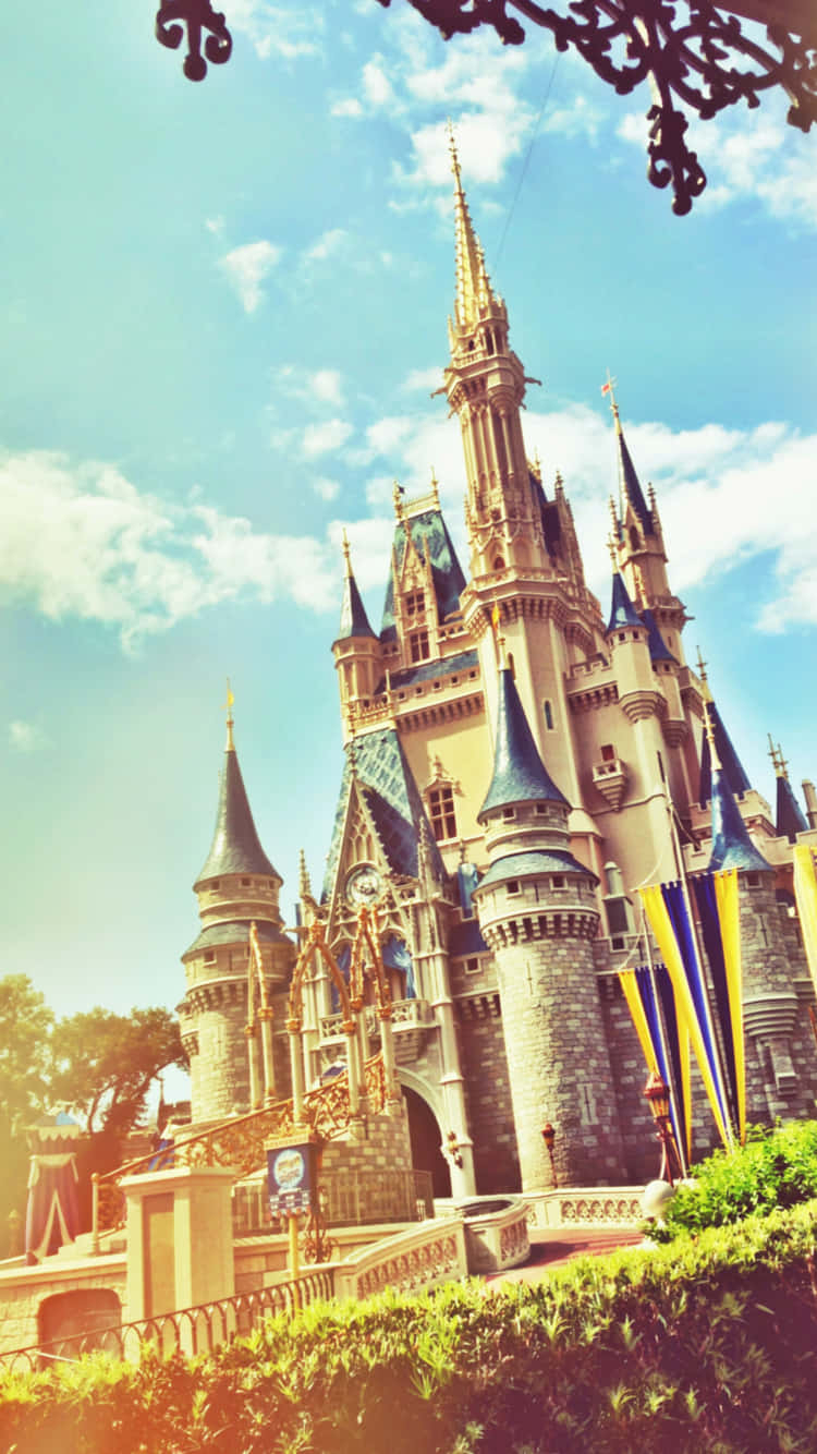 750x1340 Download Magical Photo of Disney World Wallpaper, Phone