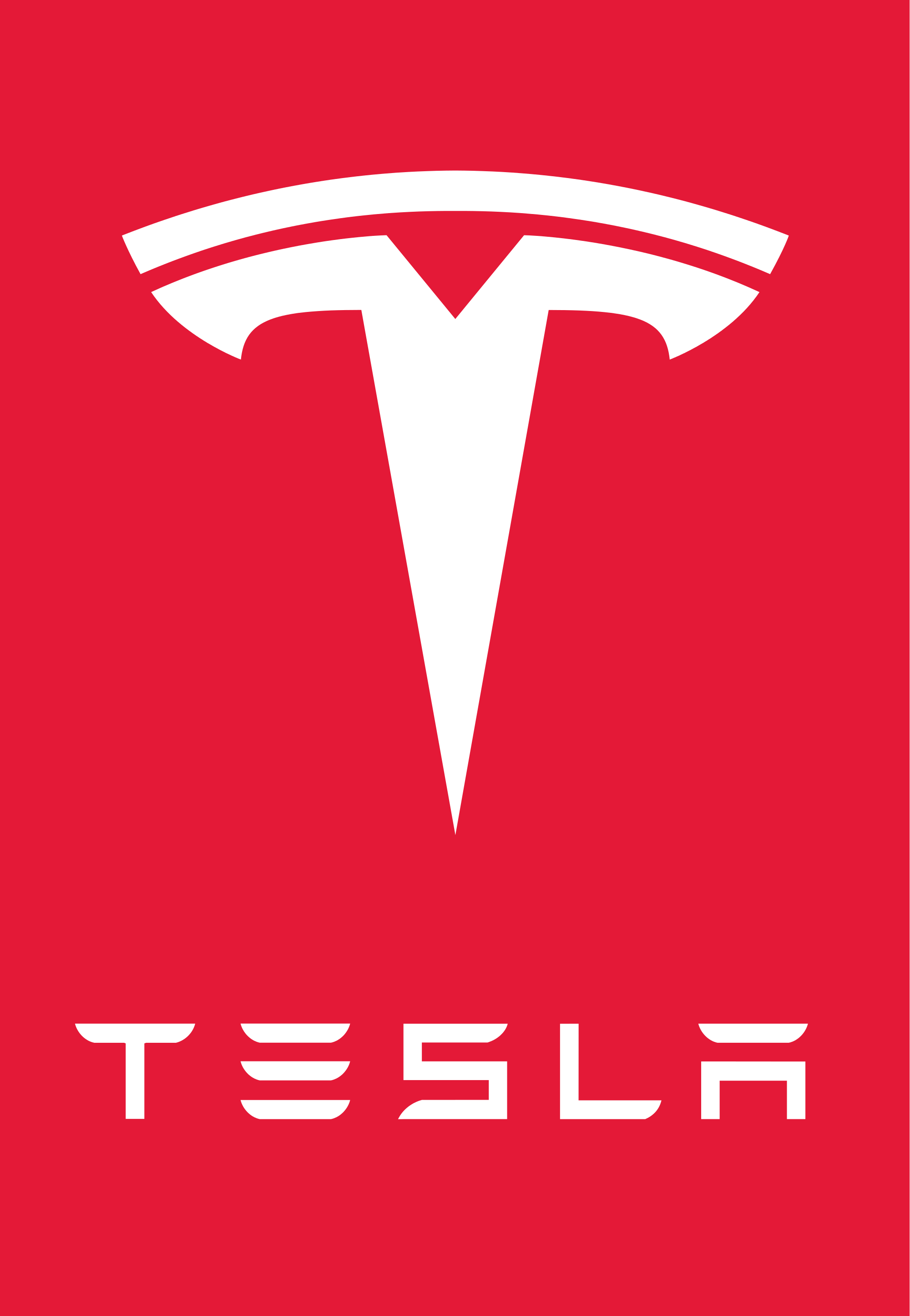 2000x2890 Tesla Logo Wallpaper HD Background, Phone