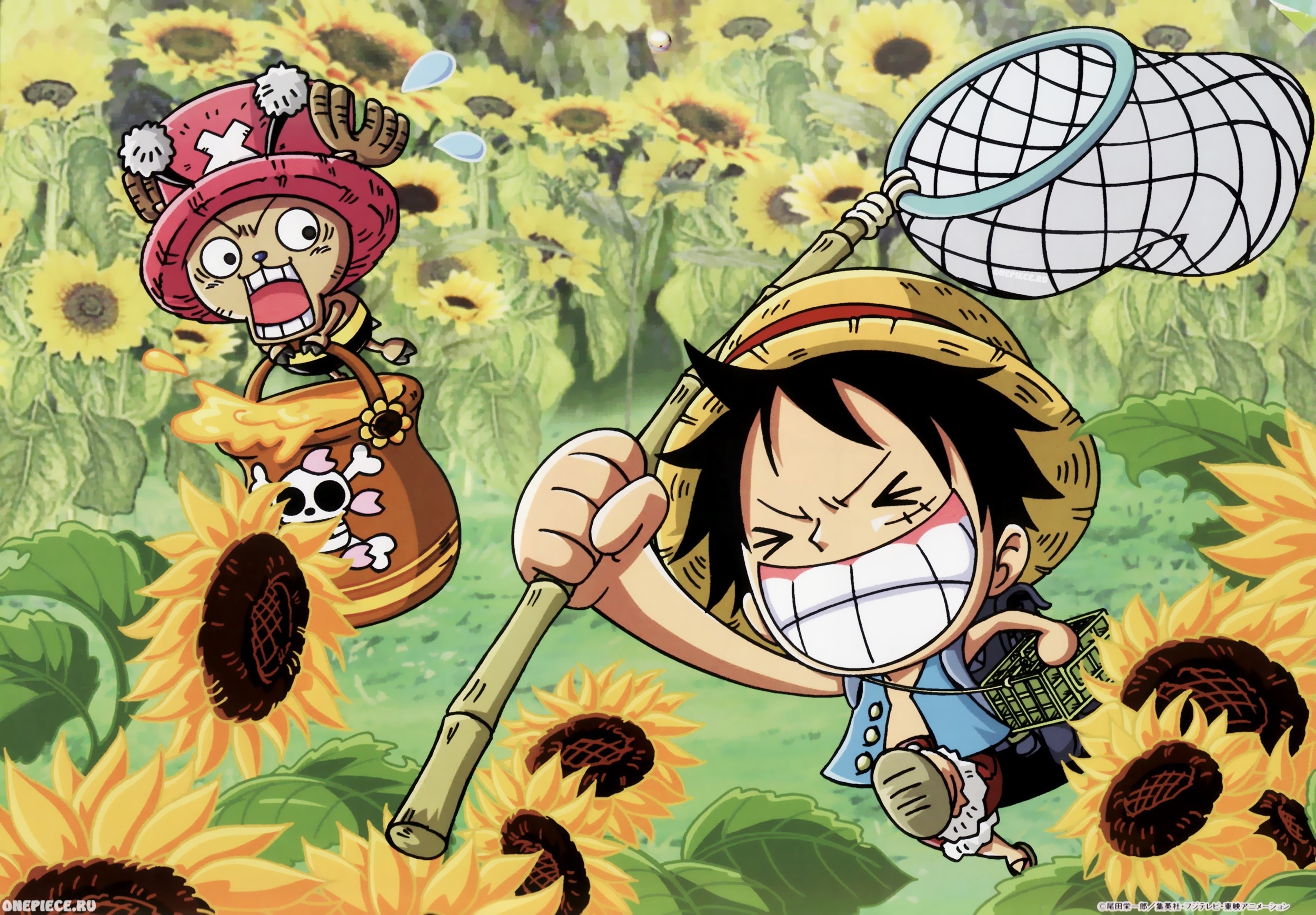 2500x1740 Funny One Piece Data Src Download Free Chopper One Piece Luffy Wallpaper HD HD Wallpaper, Desktop