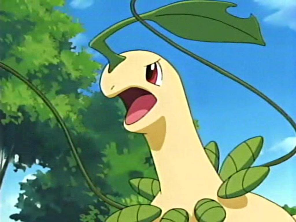 1030x770 And we can't forget Bayleef. bayleef. Grass type, Desktop