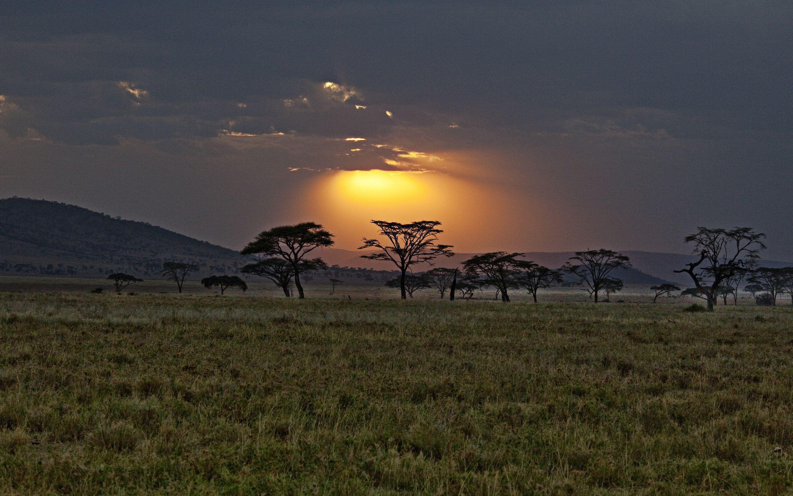 2560x1600 Africa, Savannah, Kenya, Sunset Wallpaper and Picture, Desktop