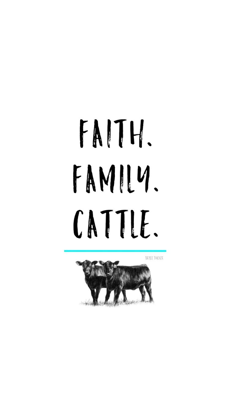 740x1310 iPhone 6 Wallpaper. Faith, Family, Cattle. Angus Cow. Cow quotes, Livestock quotes, Country girl quotes, Phone