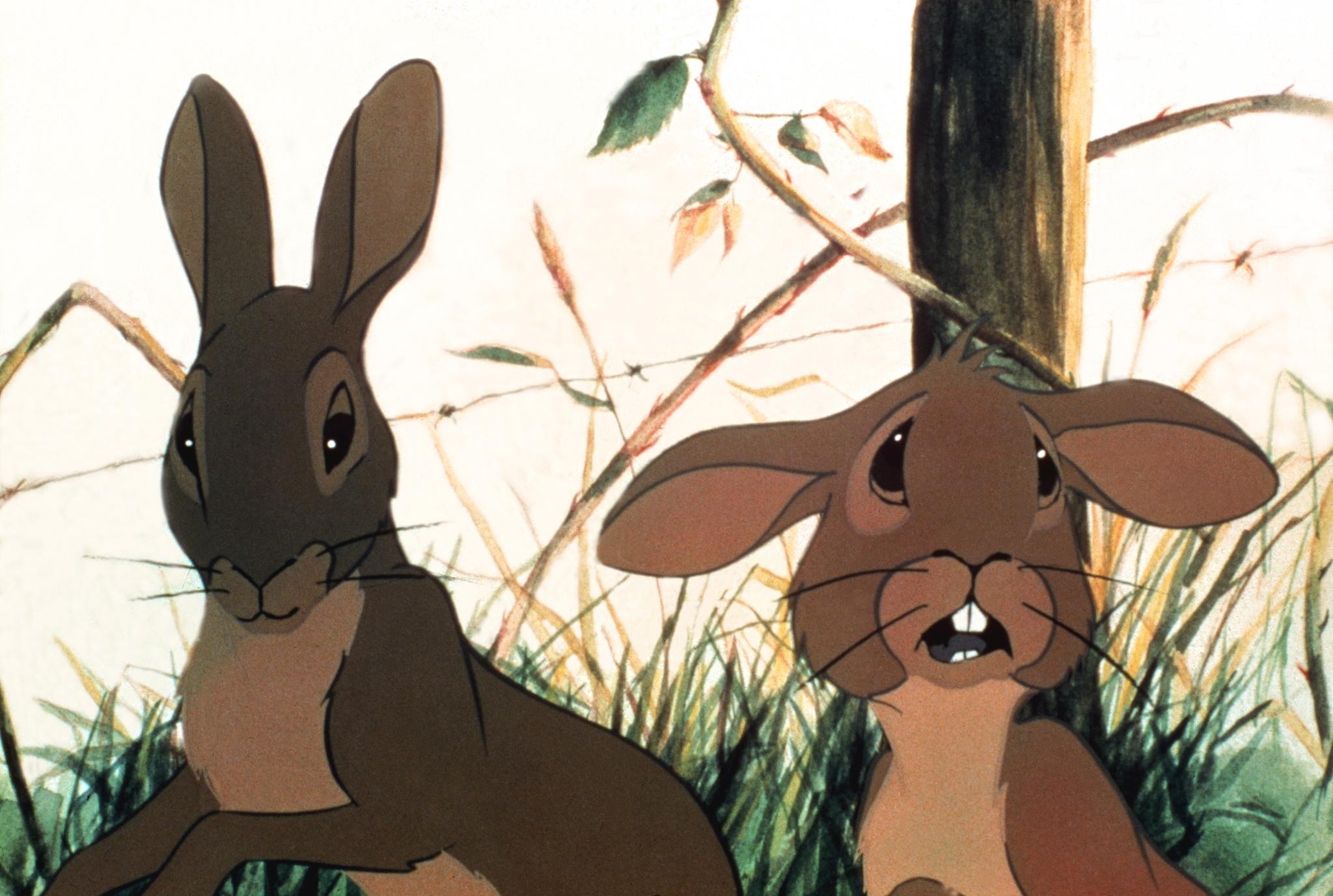 2050x1380 Watership Down, Desktop