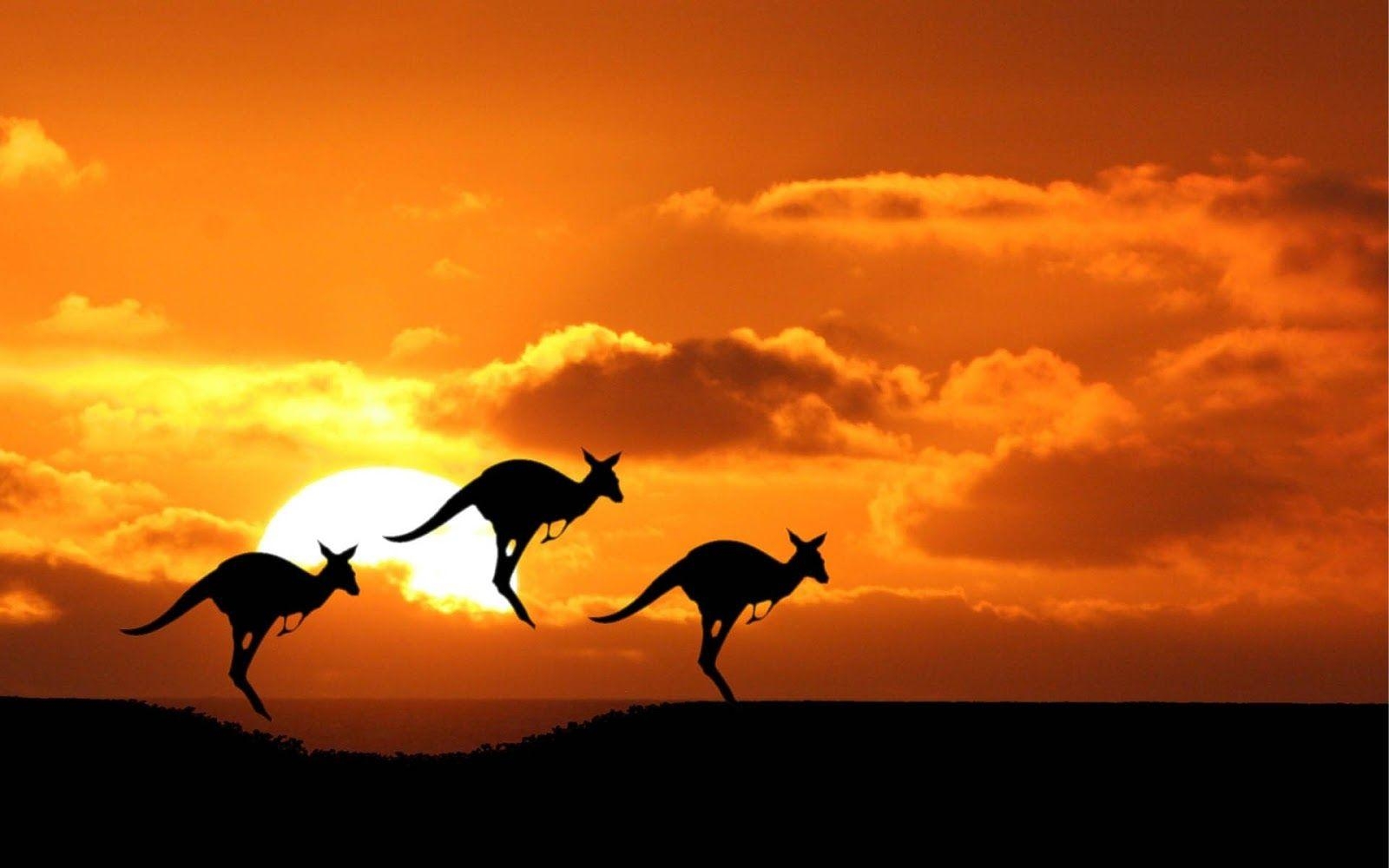 1600x1000 Australia Wallpaper, 28 Widescreen HD Widescreen Wallpaper, Desktop